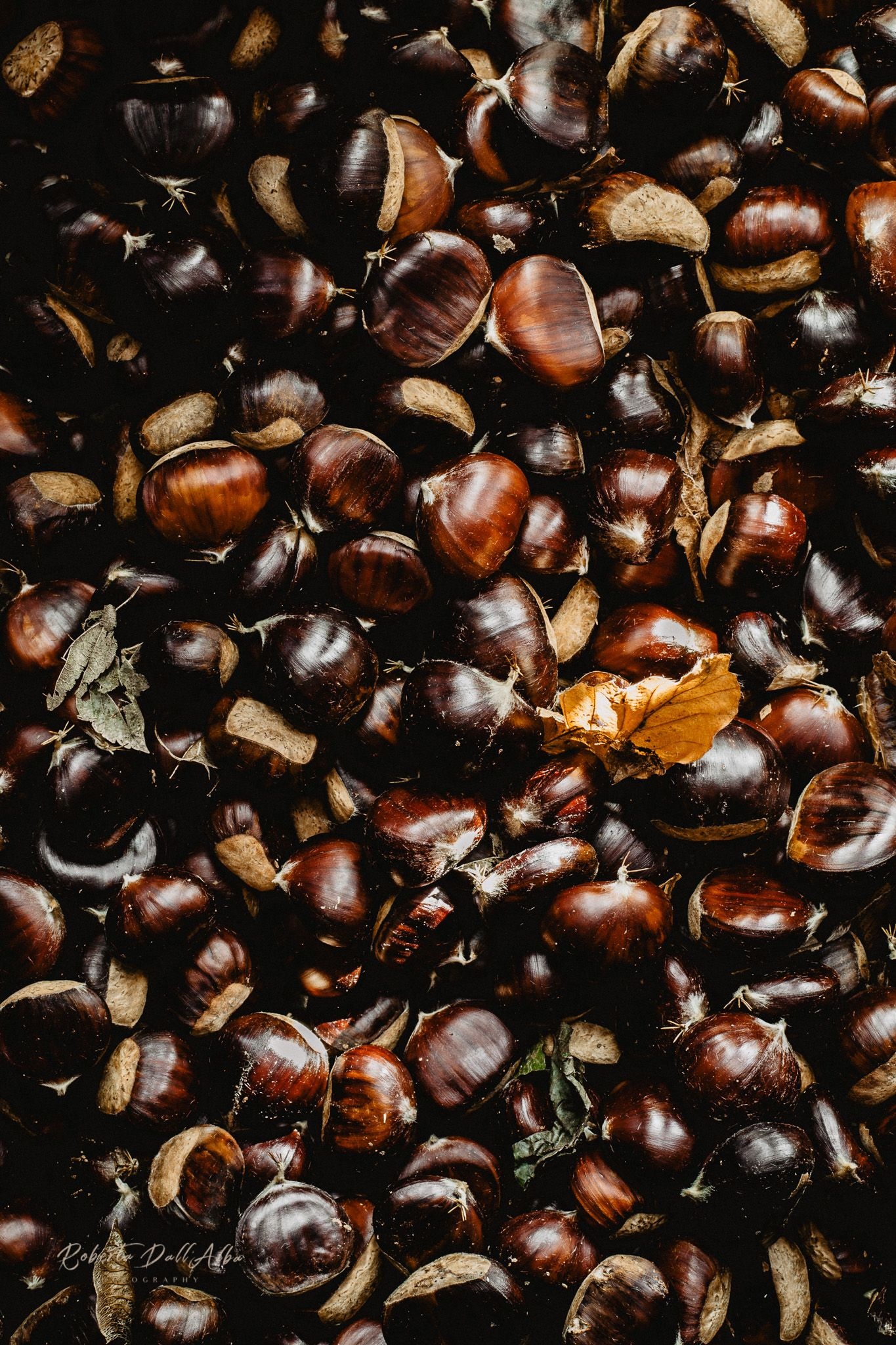 Food photography, Autumn chestnuts, Rich brown tones, Seasonal inspiration, 1370x2050 HD Phone