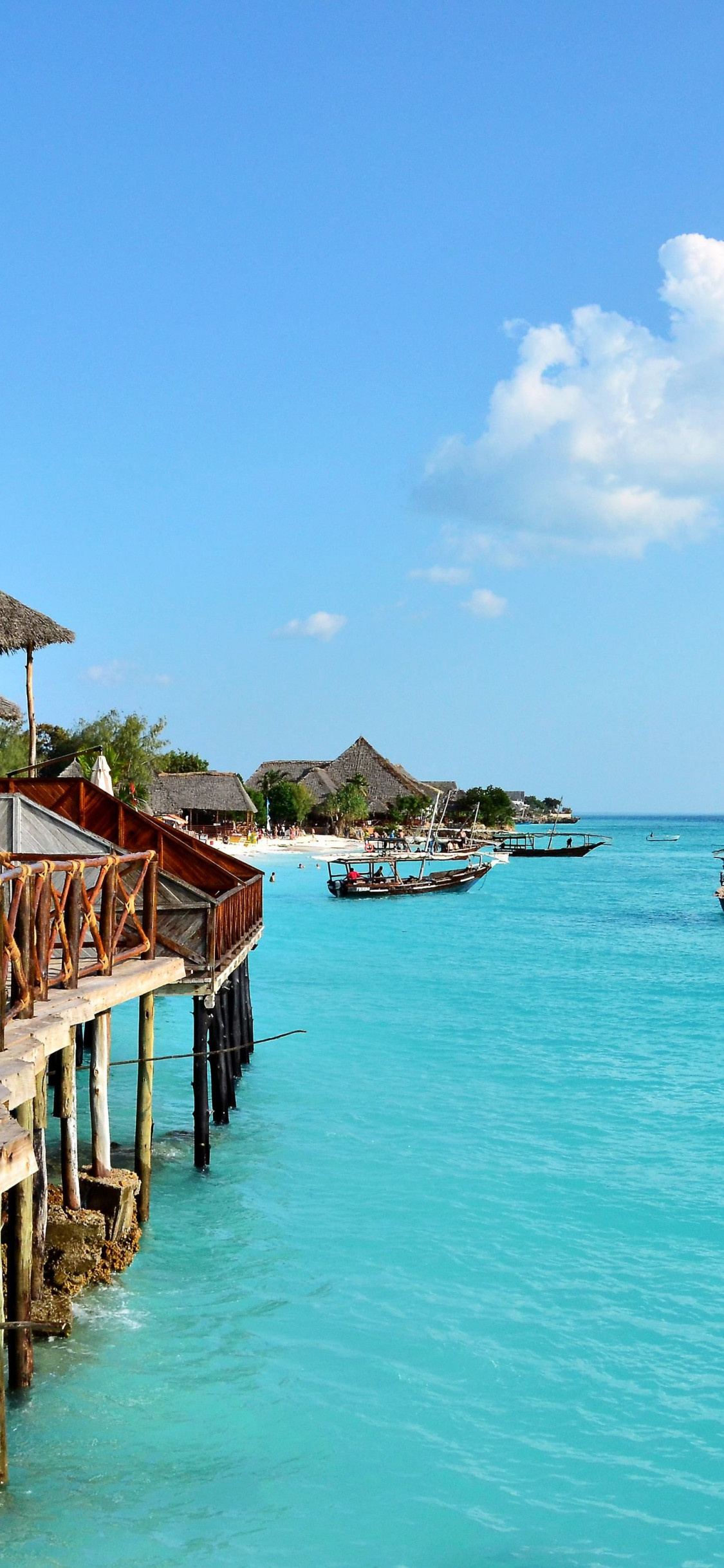 Zanzibar beach wallpaper, Tropical beauty, Desktop background, Coastal escape, 1130x2440 HD Handy