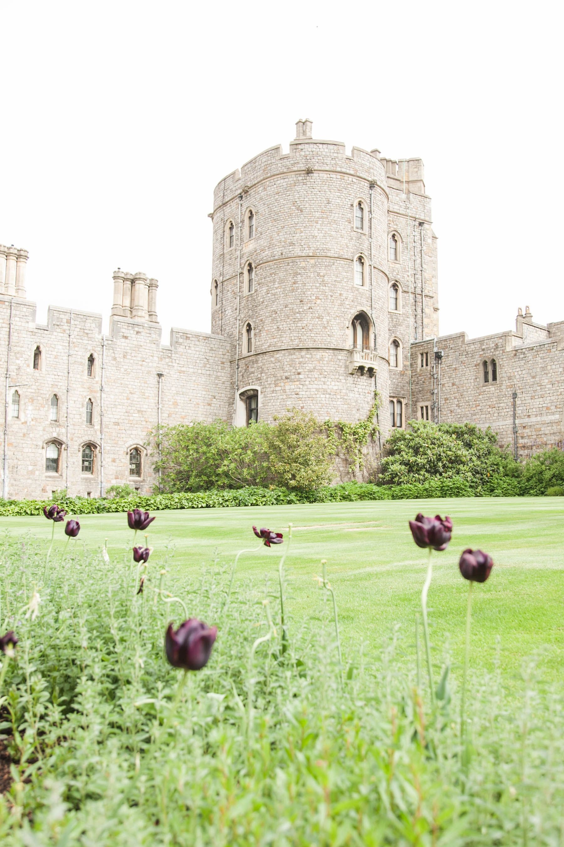 Windsor Castle, Spring landscape, British garden ideas, Captivating scenery, 1810x2710 HD Phone