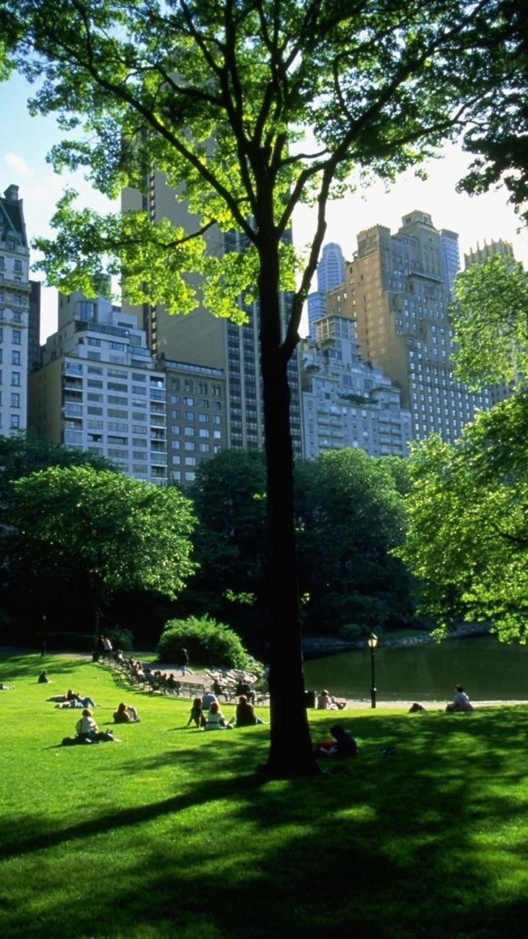 Central Park: One of the most famous urban green spaces in the entire world, Grassland. 1080x1920 Full HD Wallpaper.