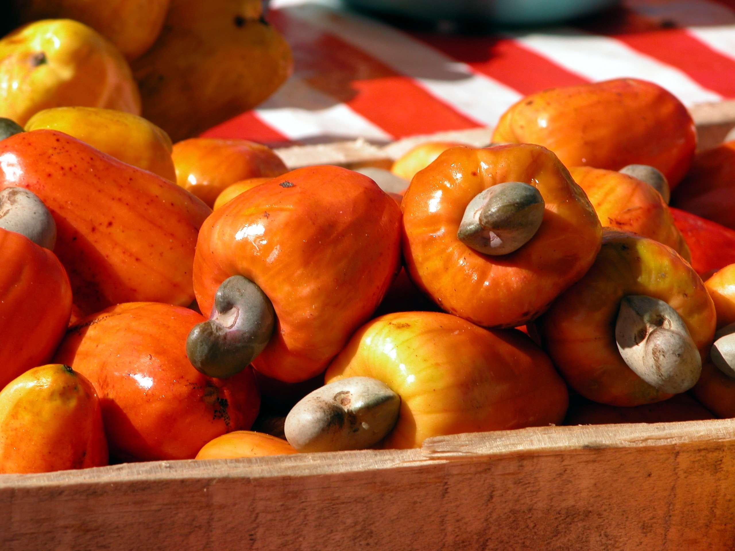 Cashew Nuts: The cashew apples, The fruits of a tropical evergreen tree. 2560x1920 HD Background.