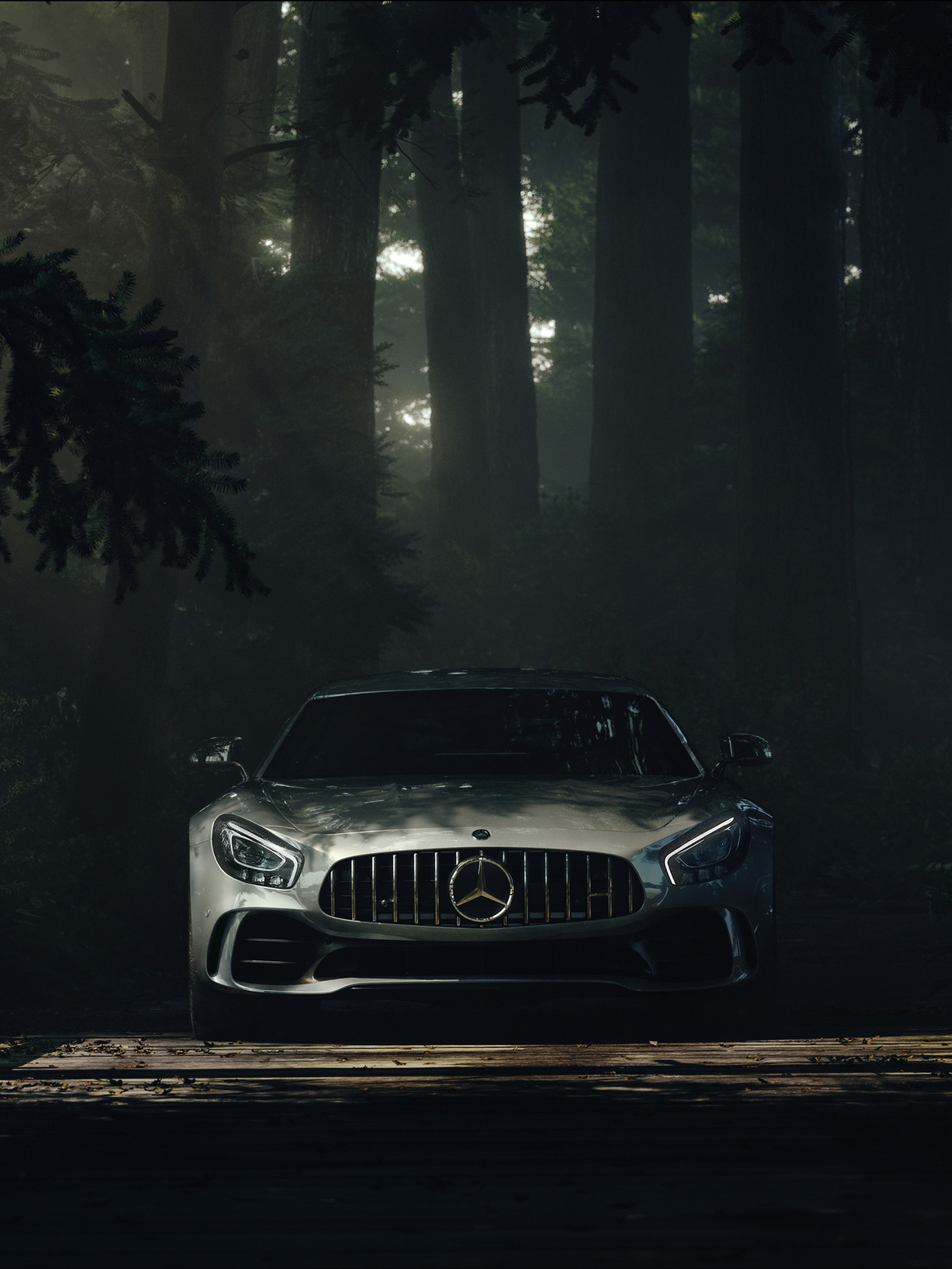 Mercedes-Benz AMG GT, Premium vehicles, Luxury sports car, German engineering, 1540x2050 HD Phone