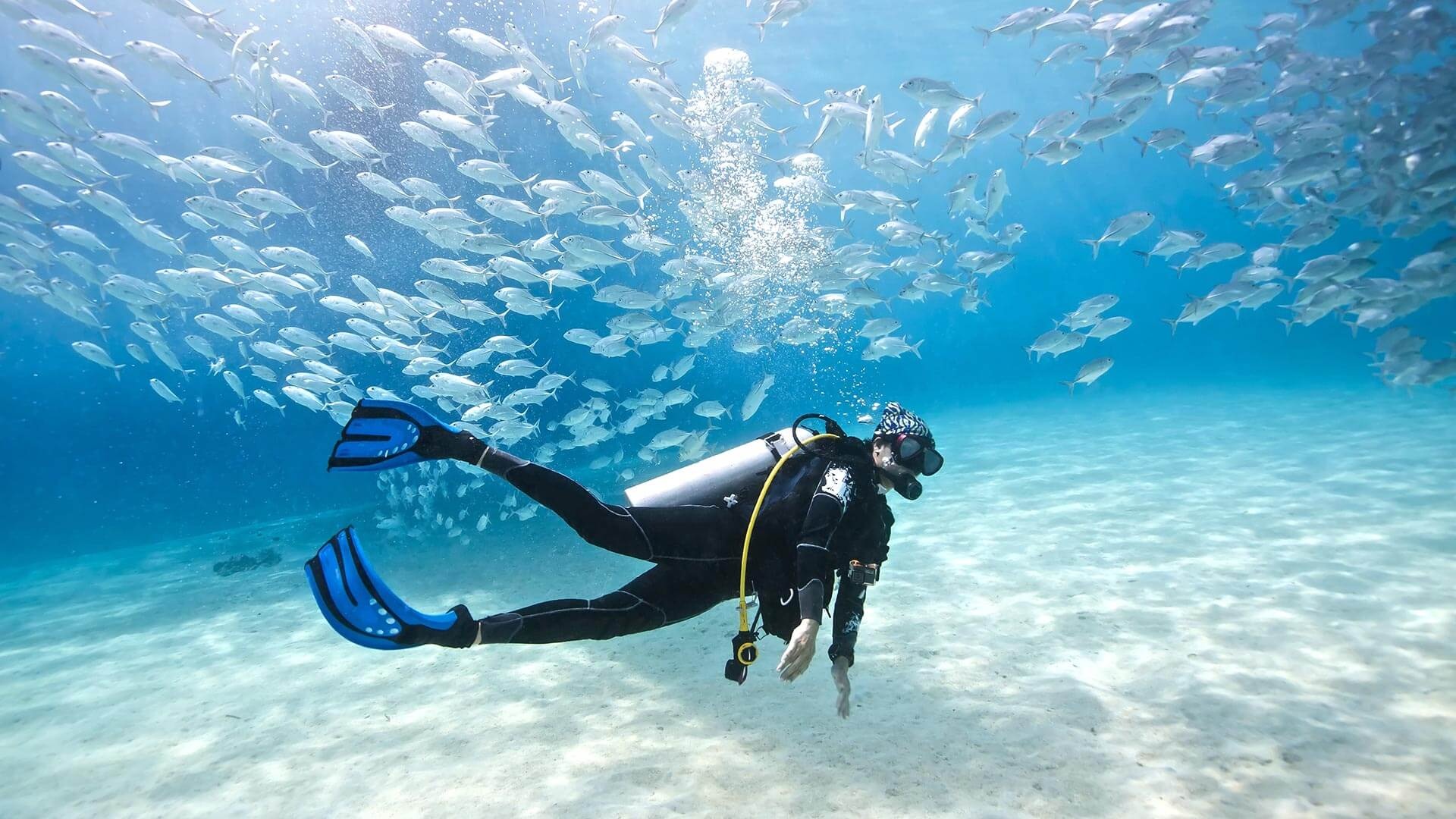 Diving: Recreational underwater activity, An extreme sport with an opportunity to explore schools of fish. 1920x1080 Full HD Background.