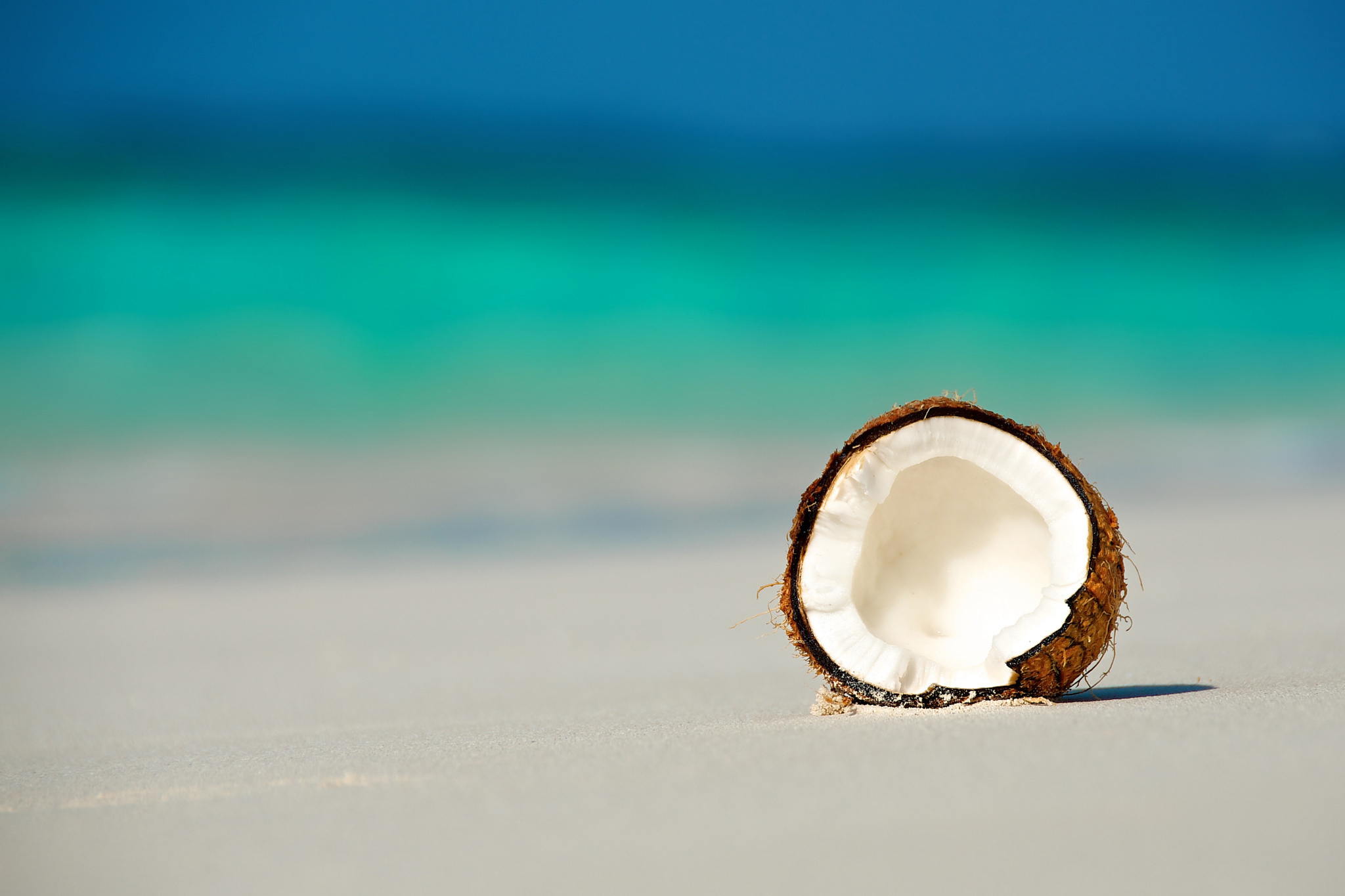 Coconut: A large fruit like a nut with a thick, hard, brown shell covered in fiber. 2050x1370 HD Wallpaper.