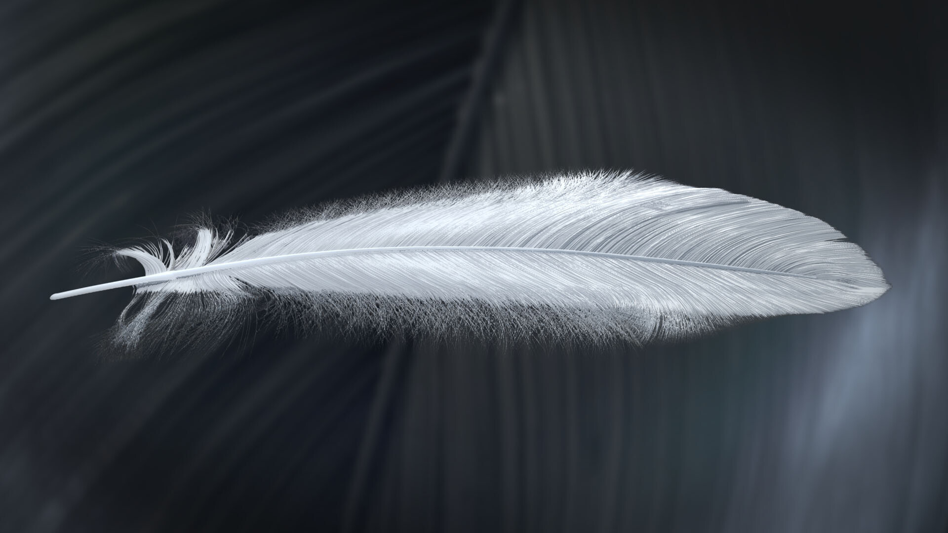 Feather: A part of bird's anatomy, Filoplume. 1920x1080 Full HD Wallpaper.