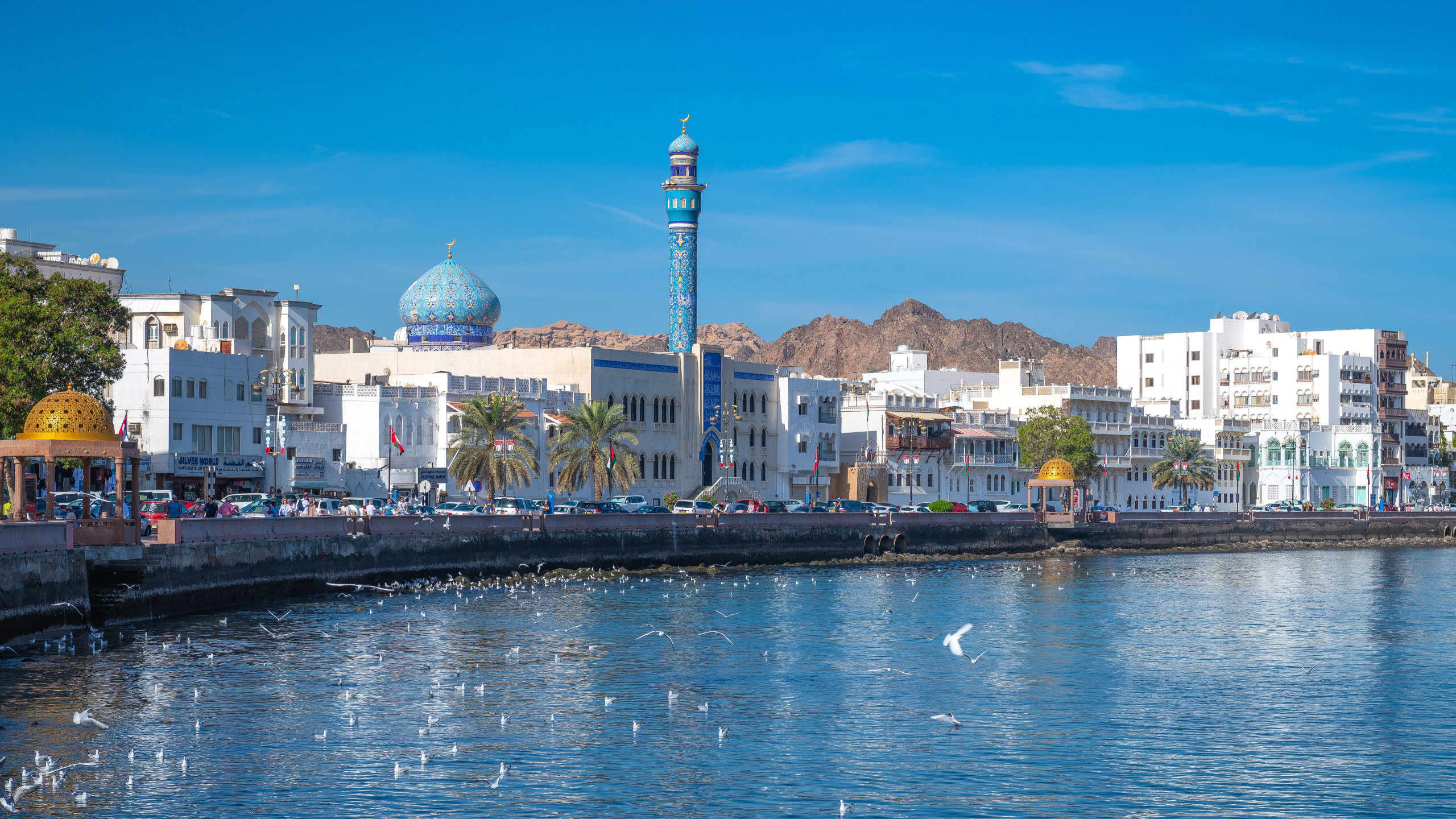 Oman: National Day is celebrated on 18 November, Muscat. 2560x1440 HD Background.
