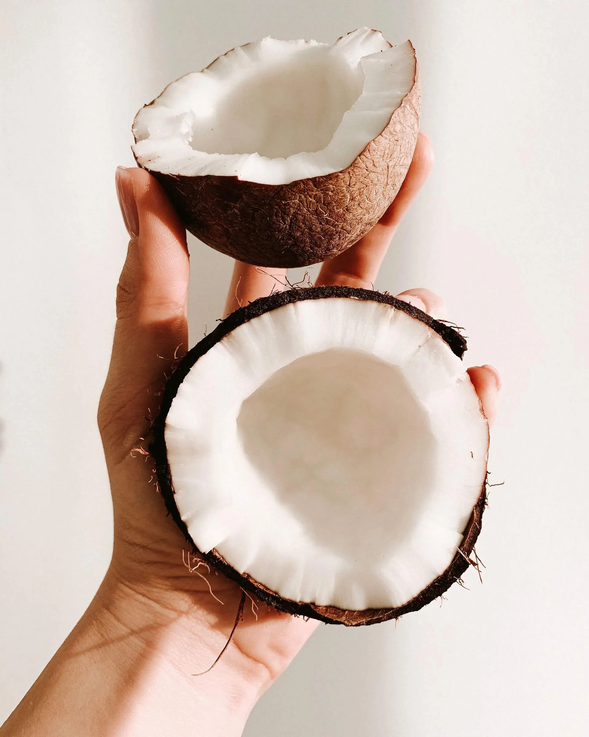 Coconut: Introduced by Europeans to the Americas during the colonial era in the Columbian exchange. 1920x2400 HD Wallpaper.