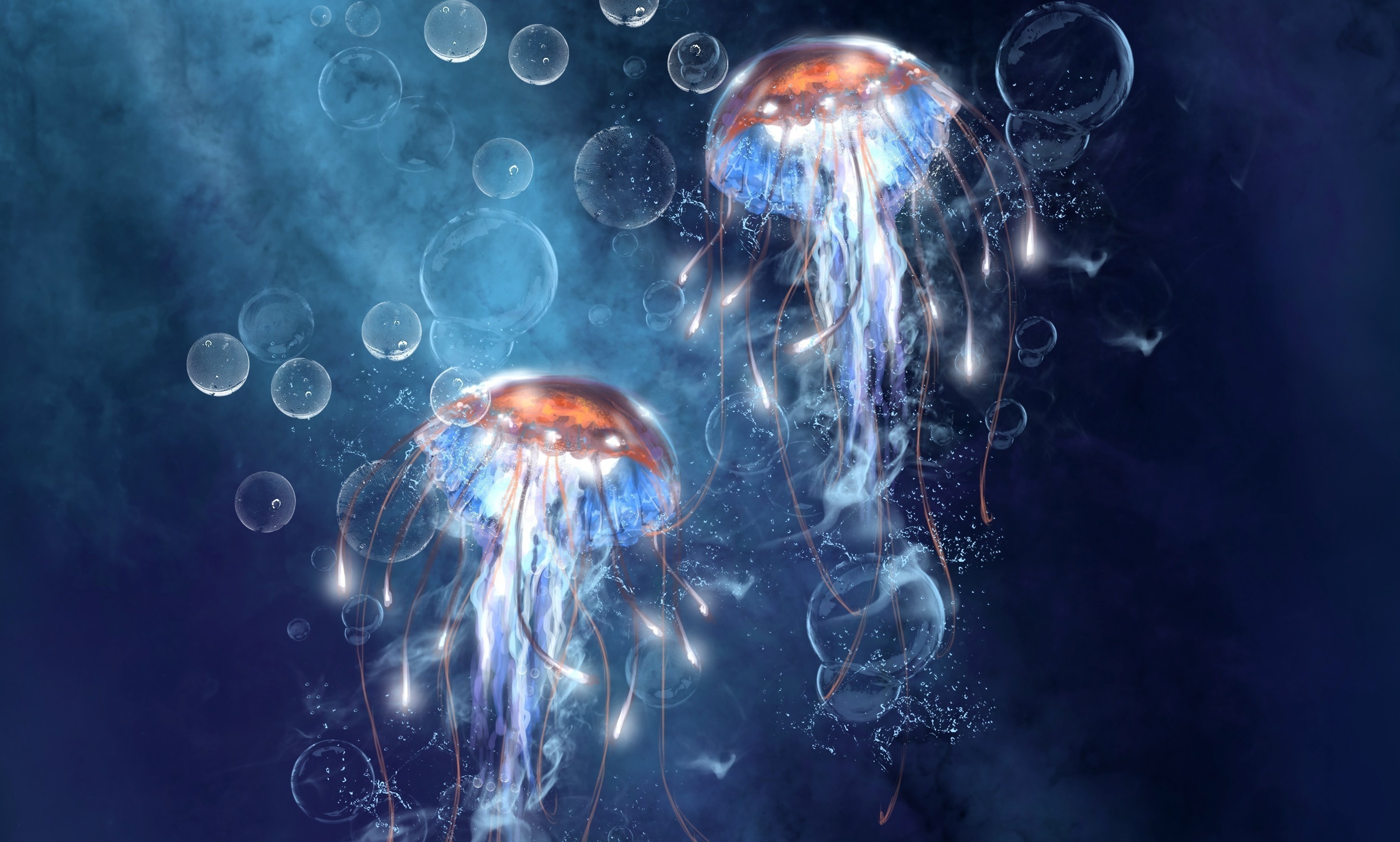 Jellyfish diversity, Captivating backgrounds, Stunning visuals, Wallpaper beauty, 3000x1810 HD Desktop