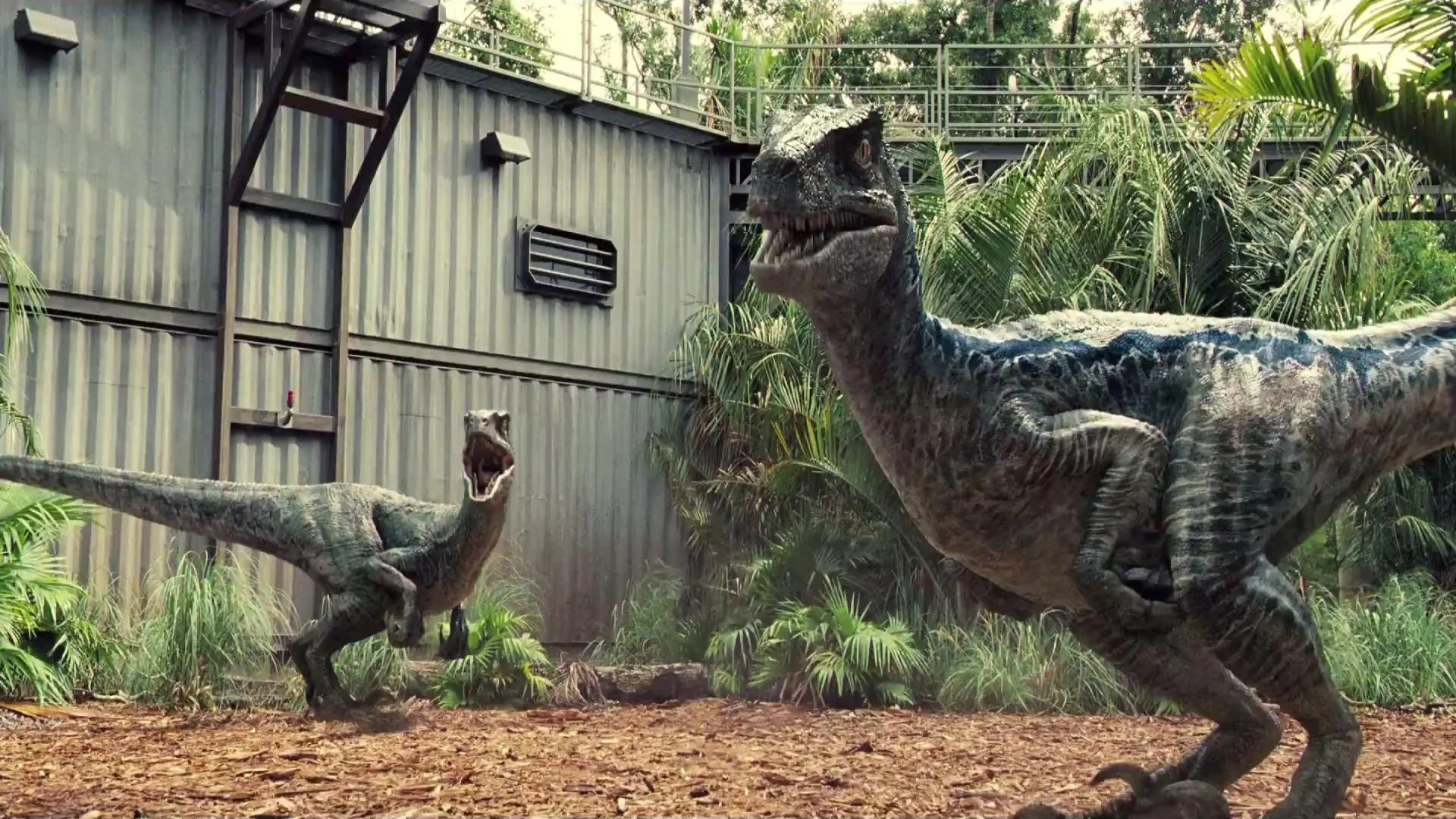 Jurassic Park velociraptor wallpapers, Top-rated backgrounds, Thrilling suspense, Dinosaur theme, 1920x1080 Full HD Desktop