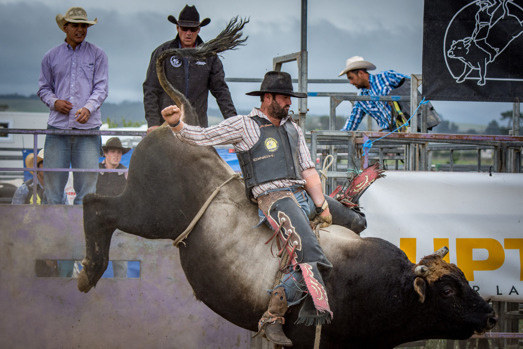Bullriding: Martinborough Parklee Bullride, New Zealand Rodeo Cowboys Association, A rodeo sport. 2050x1370 HD Wallpaper.