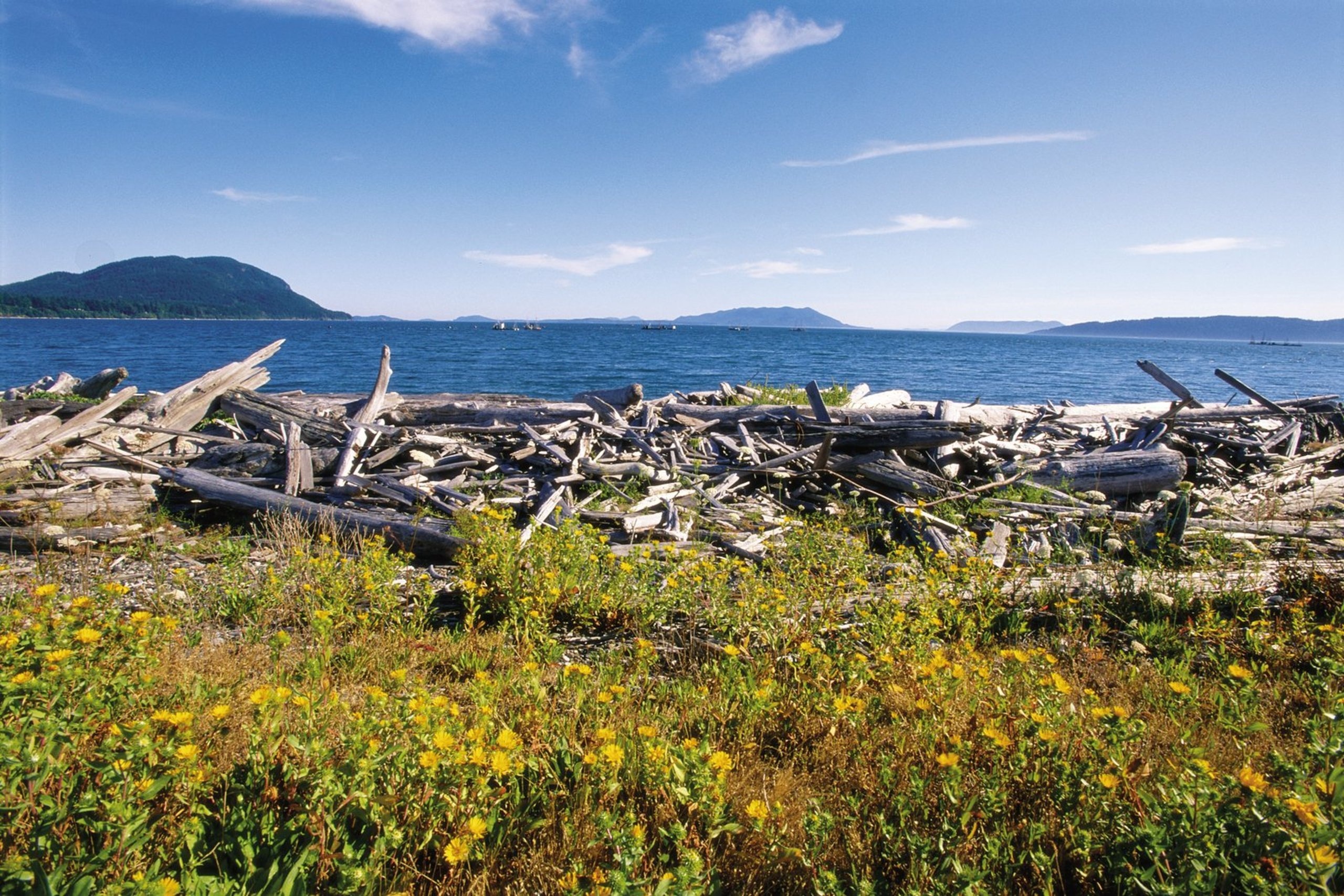 Flights to Lummi Island, Washington, 2560x1710 HD Desktop