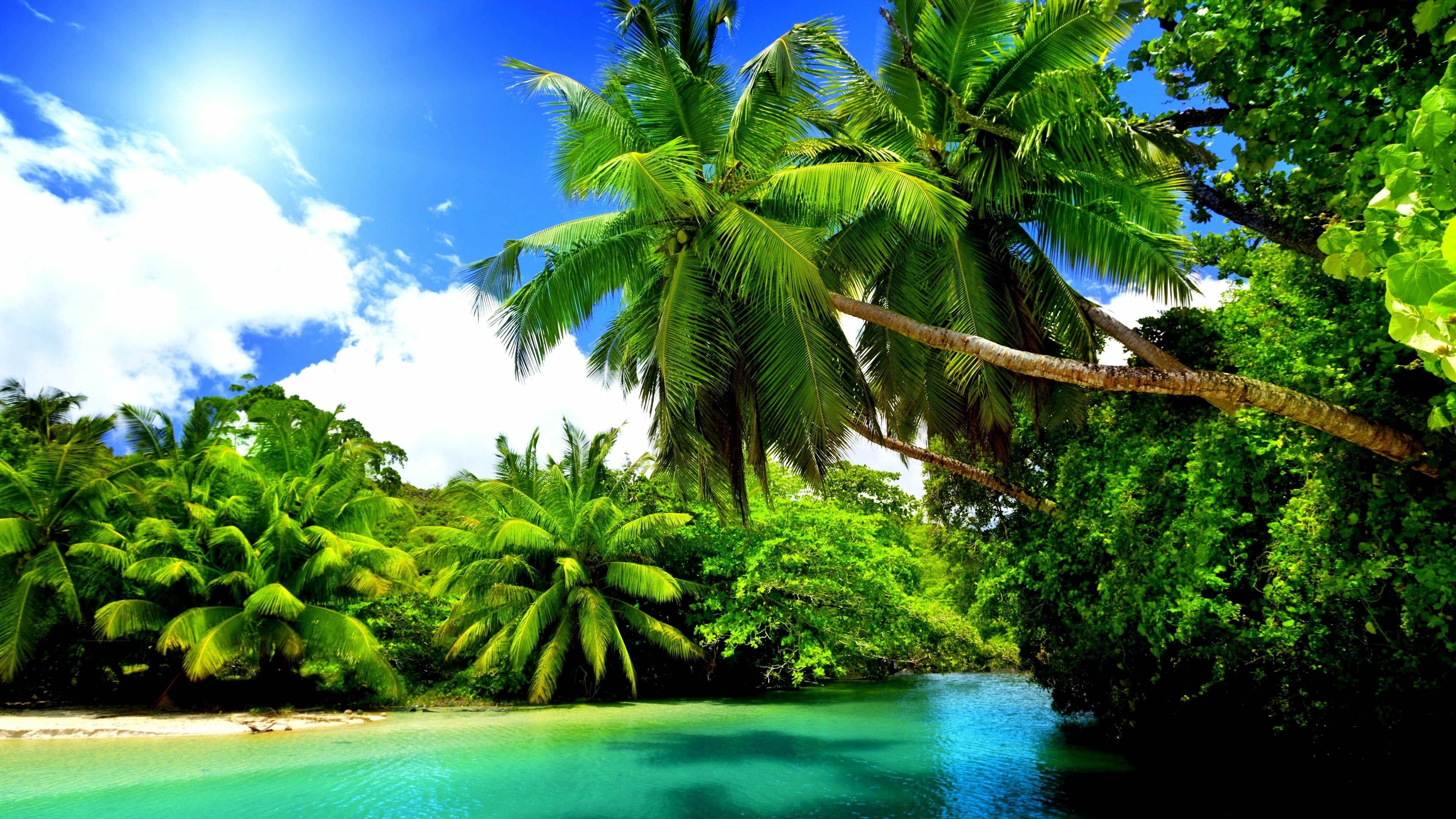 Summer: Tropical beaches, Warm sunny climates, Ocean. 3840x2160 4K Wallpaper.