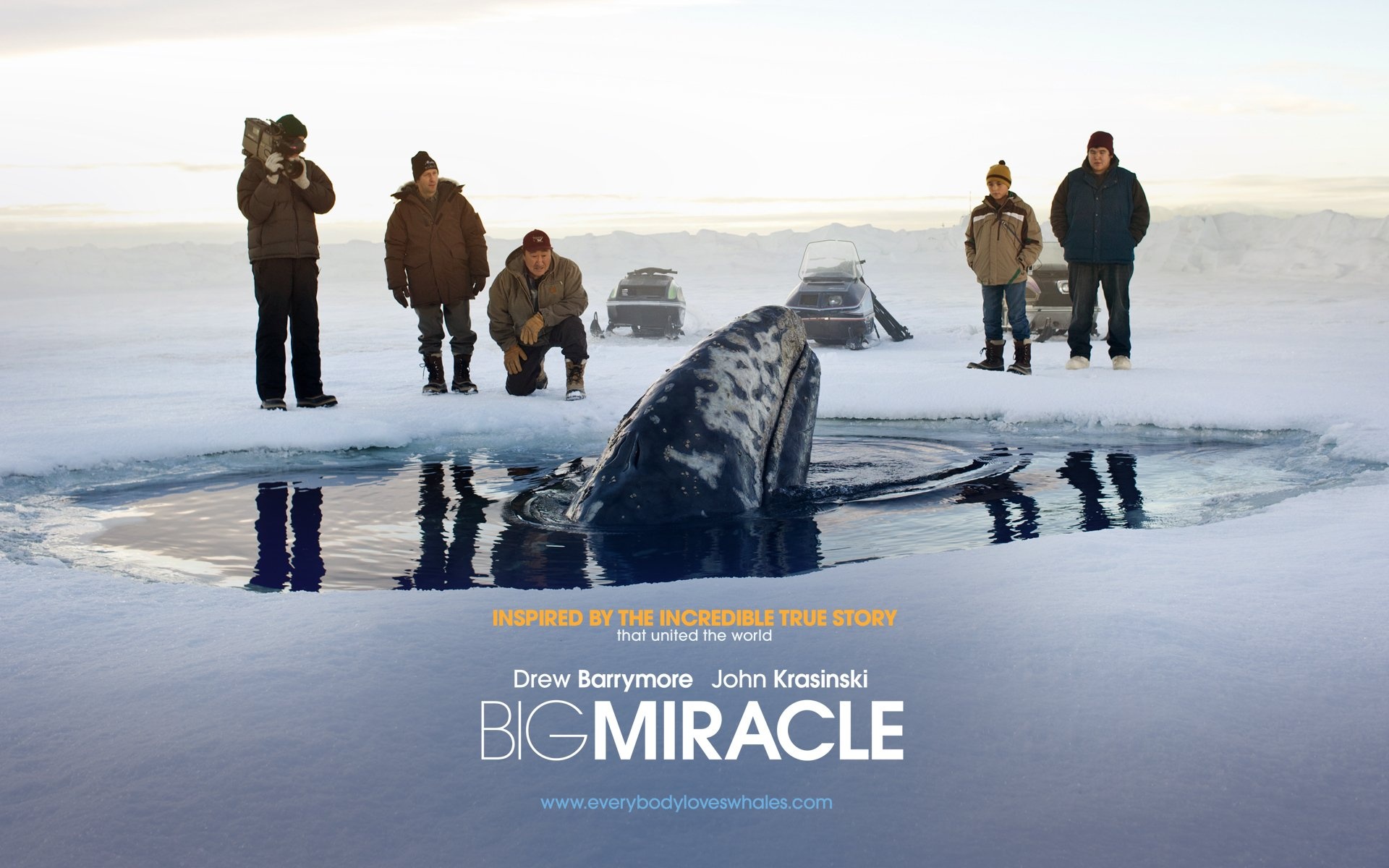Big Miracle: Warner Bros. bought the screenplay by Jack Amiel and Michael Begler in April 2009. 1920x1200 HD Background.
