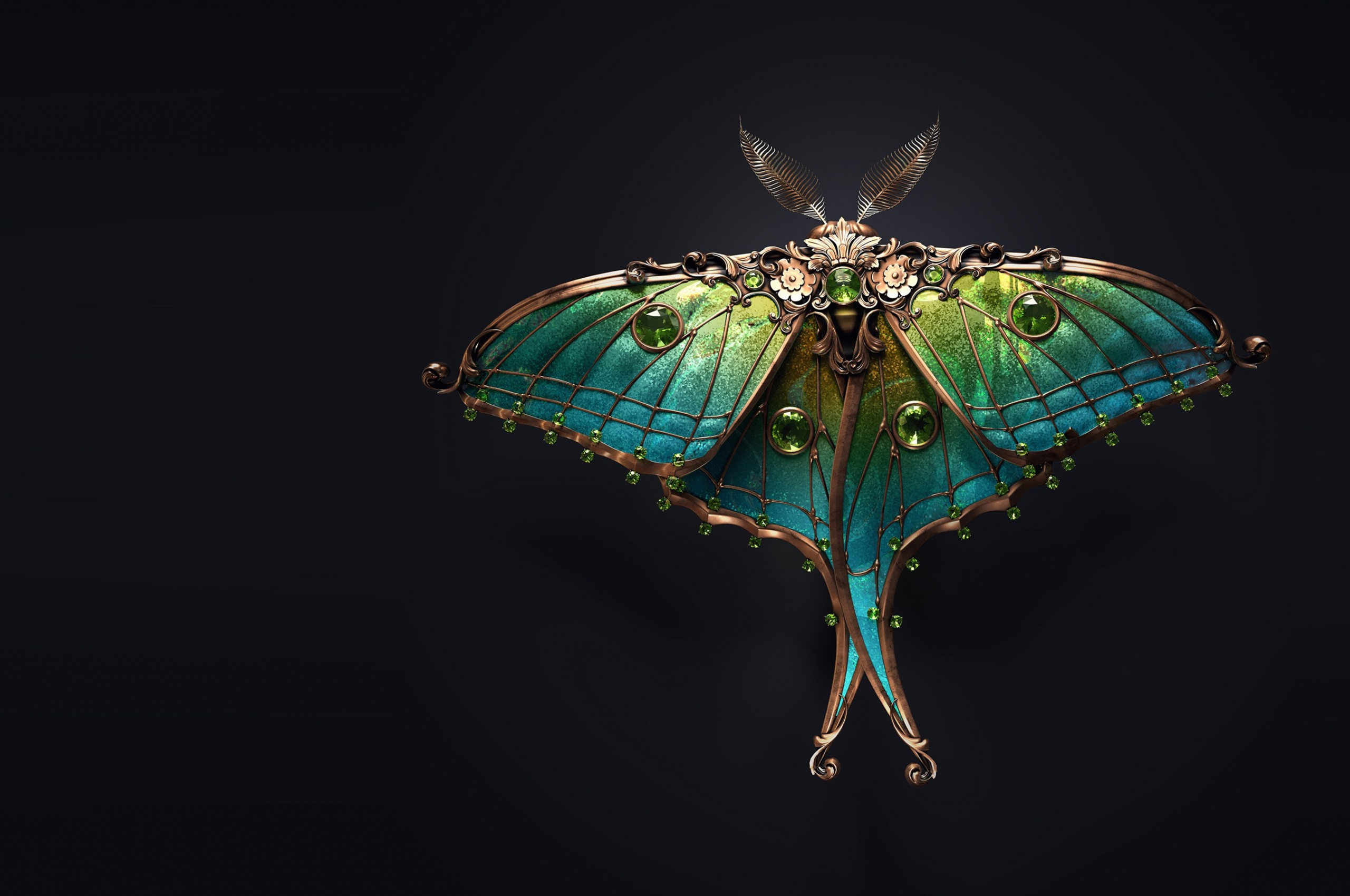Beautiful moth brooch, Black background, Feather motif, 2560x1700 HD Desktop