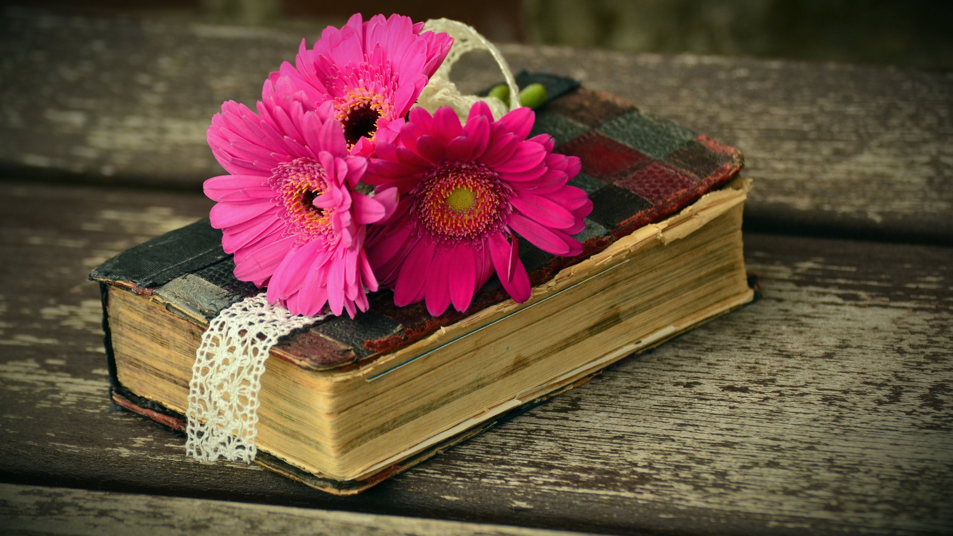 Blooming pages, Floral bookmarks, Bookish beauty, Bibliophile's delight, 3840x2160 4K Desktop