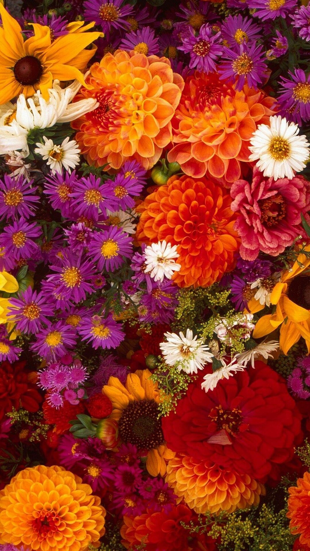 Flower Bouquet: Colorful, Cut flowers, Flowering plants. 1080x1920 Full HD Background.