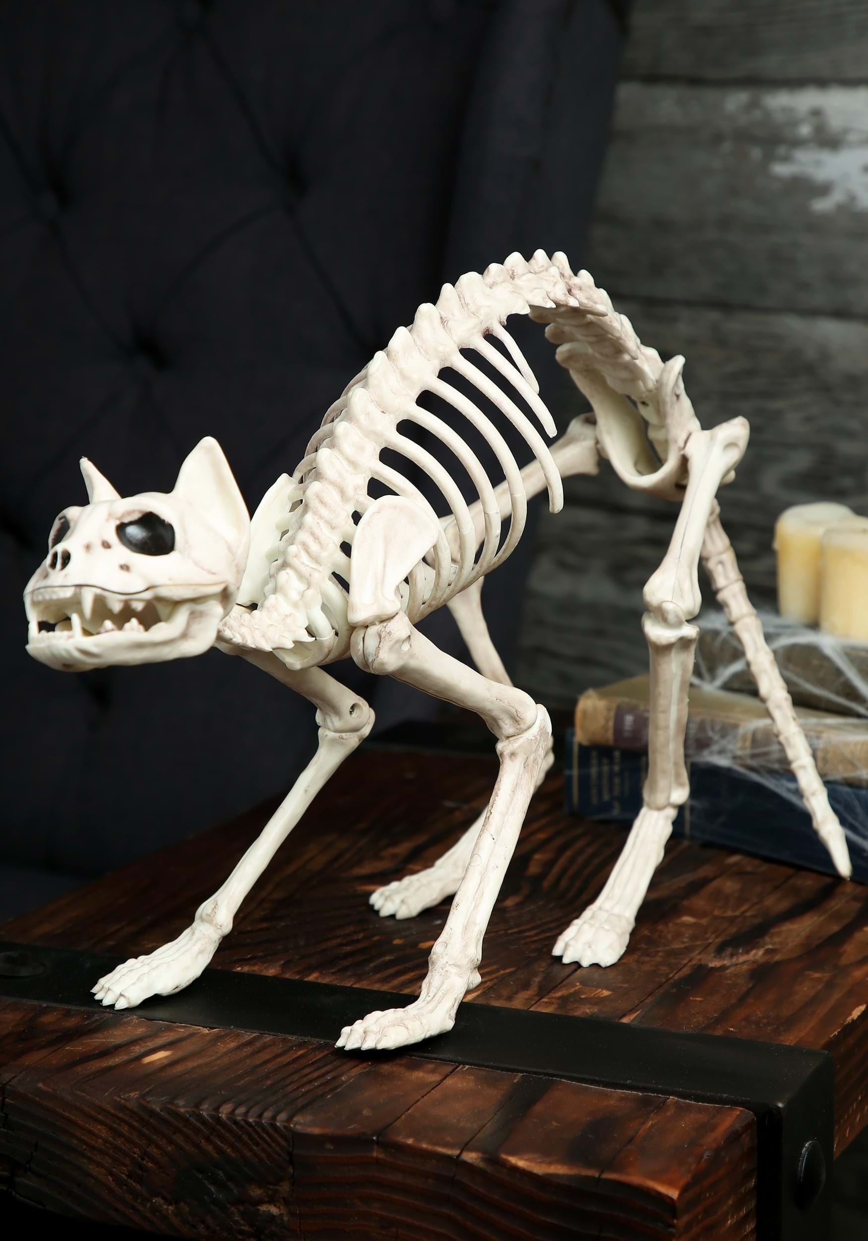 Halloween skeleton, Feline decoration, Creepy cat prop, Bone-chilling atmosphere, 1750x2500 HD Phone
