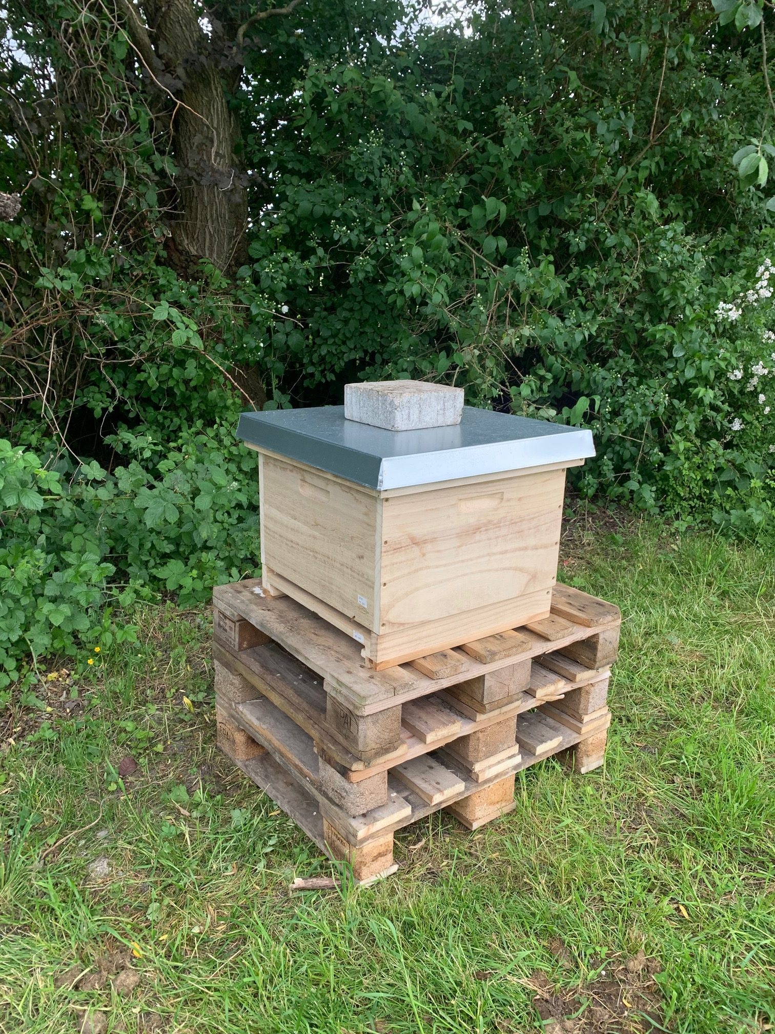 Beehive, Busy bees, Beekeeping preschool, Nature education, 1520x2020 HD Phone
