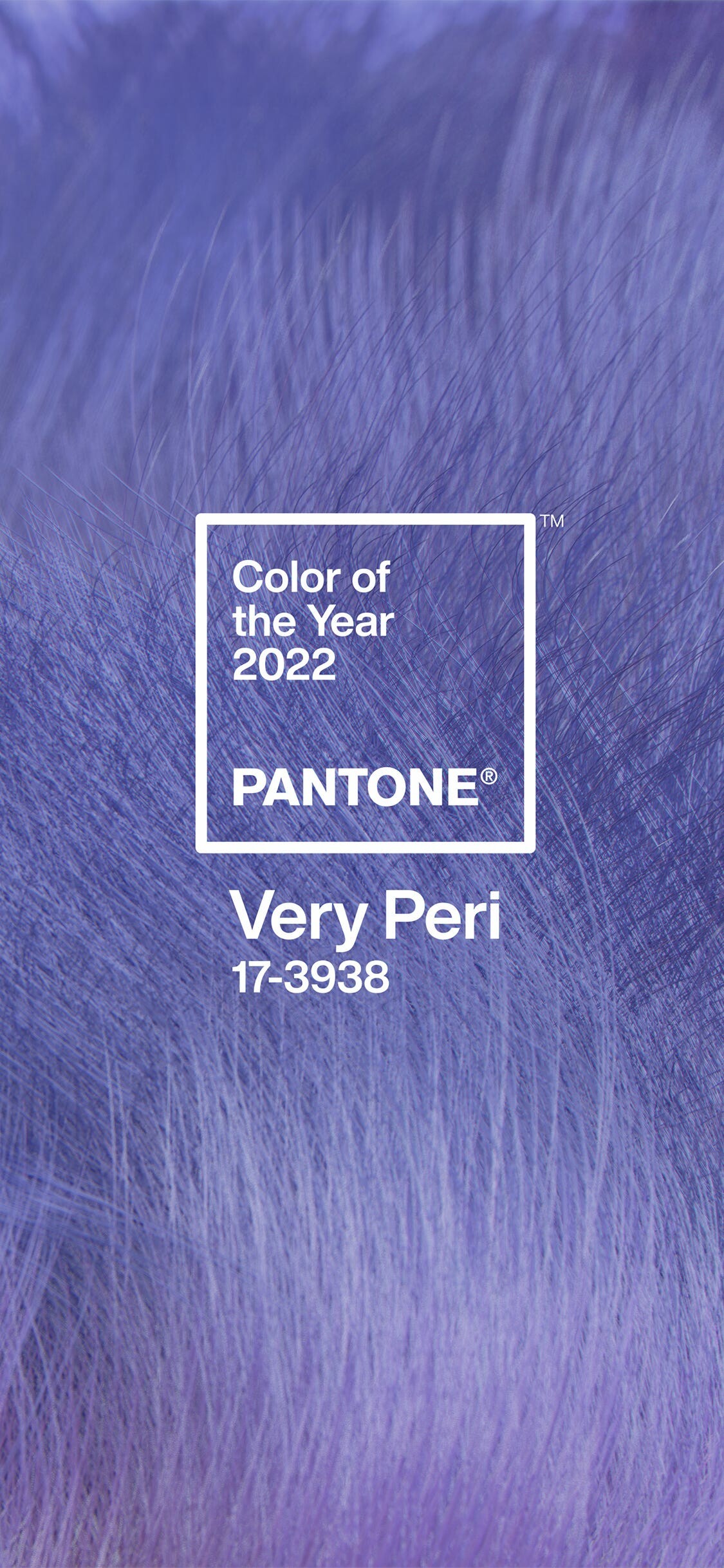 Digitale Tapete, Von Pantone inspiriert, Lebendige Farben, Knstlerischer Ausdruck, 1130x2440 HD Handy