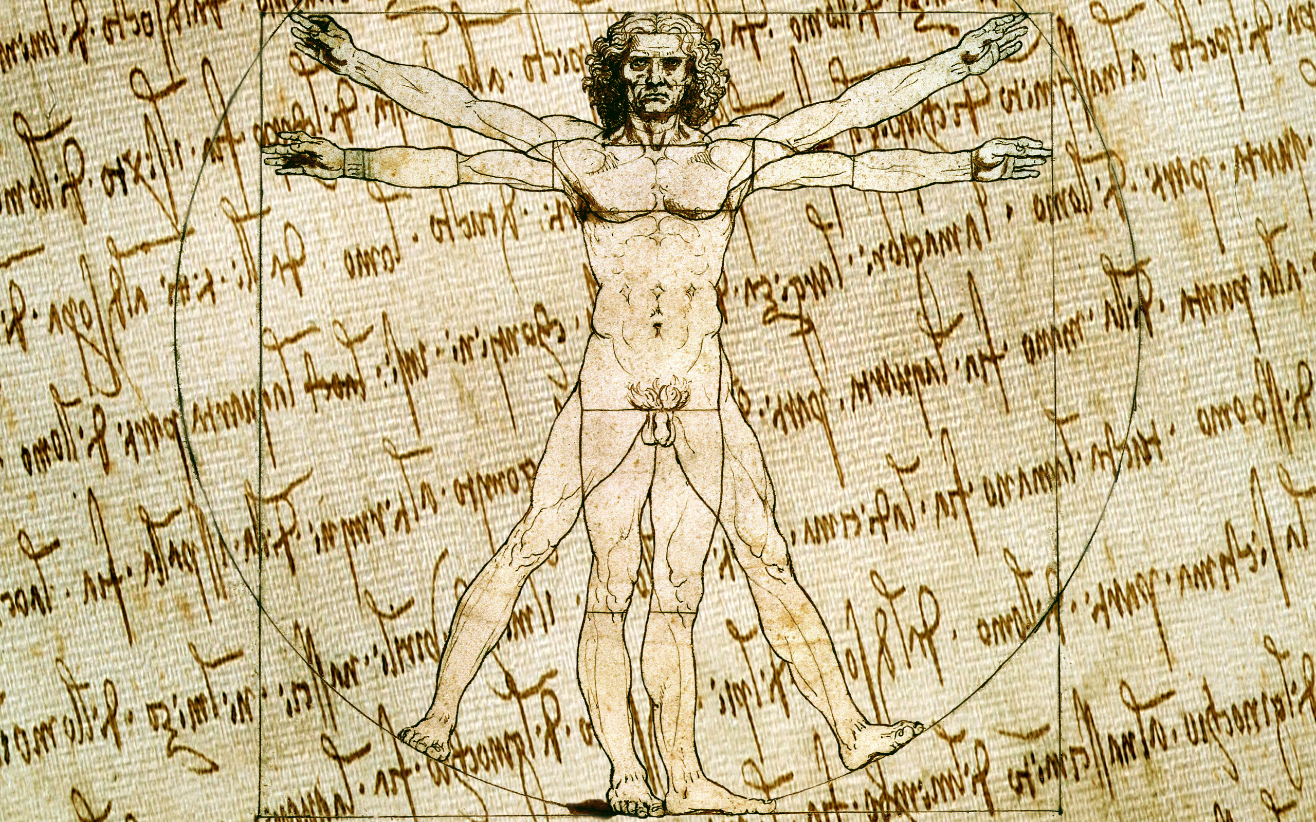 Vitruvian Man, Leonardo da Vinci Wallpaper, 2560x1600 HD Desktop