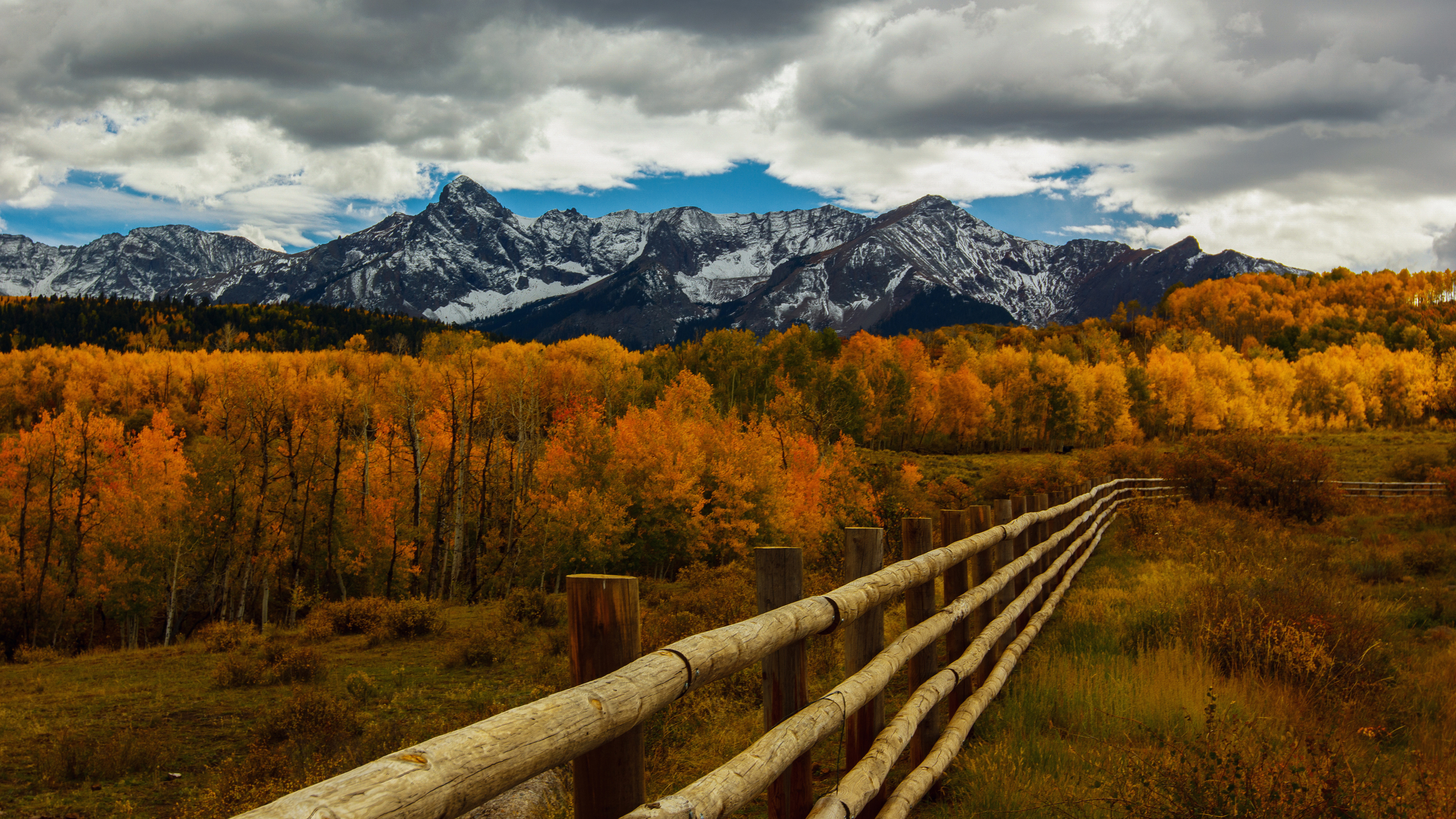 Autumn forest, Colorado mountains, Fence pass, Dallas divide, 3840x2160 4K Desktop