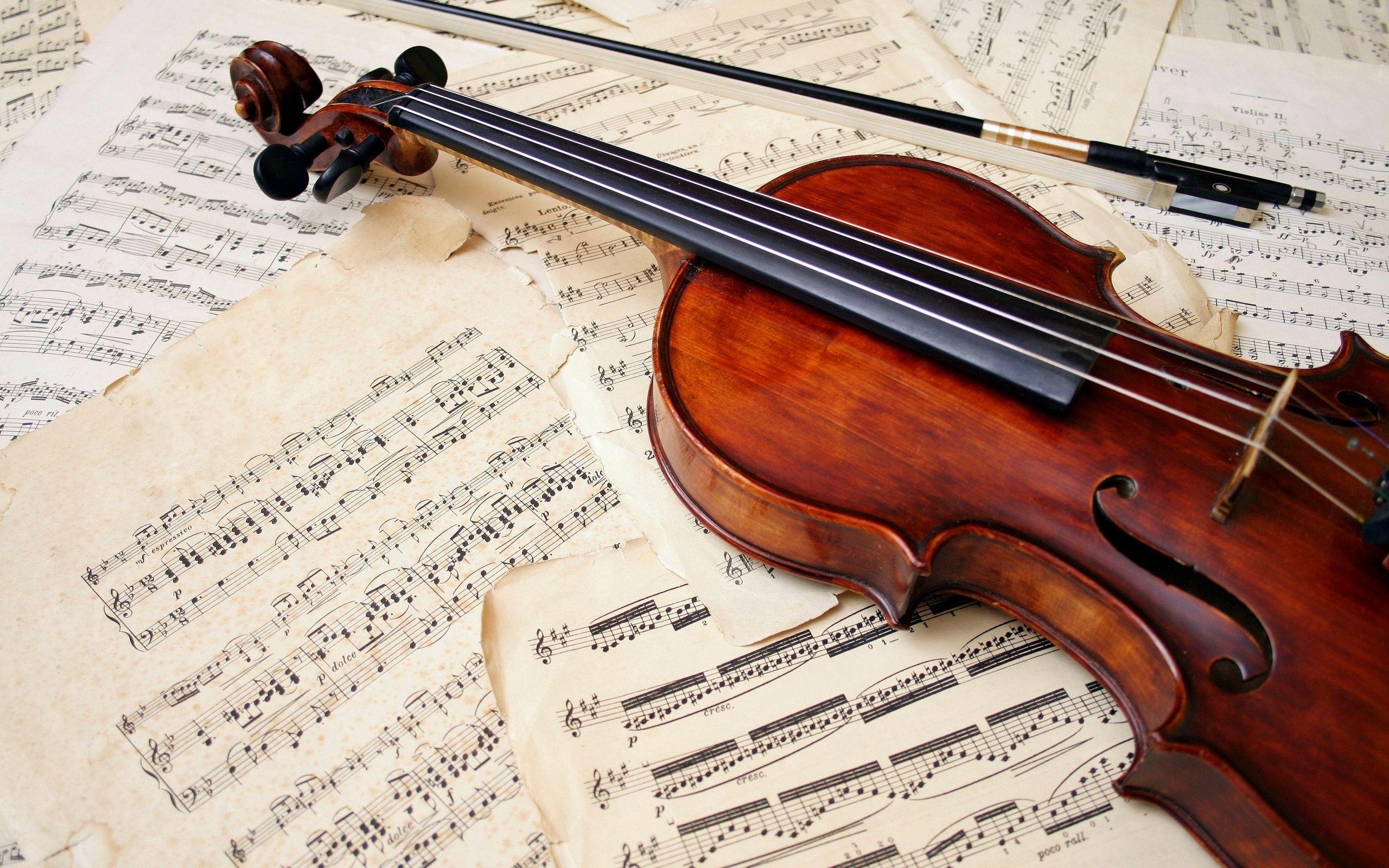 Viola: Two Arcuate Plates Fastened With A "Garland" Of Ribs, Violists' World Union, Notes, Music Text. 2560x1600 HD Wallpaper.