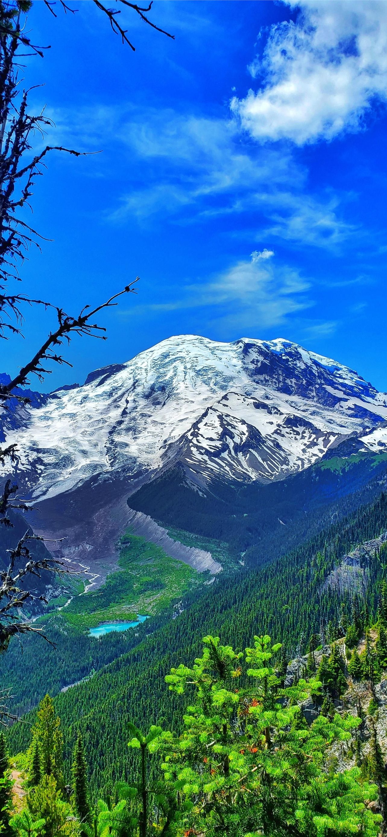 Mount Rainier National Park iPhone wallpapers, HD quality, Stunning visuals, Nature at its best, 1290x2780 HD Handy