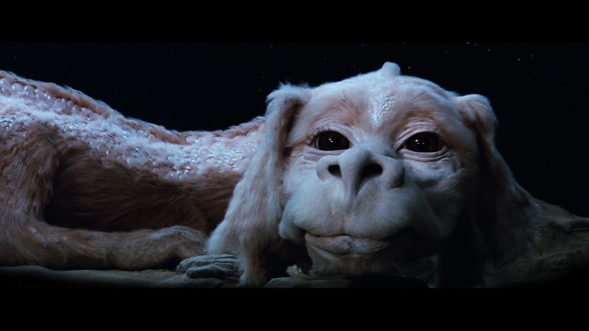 The NeverEnding Story, Love movie, Love photography, Magical, 1920x1080 Full HD Desktop