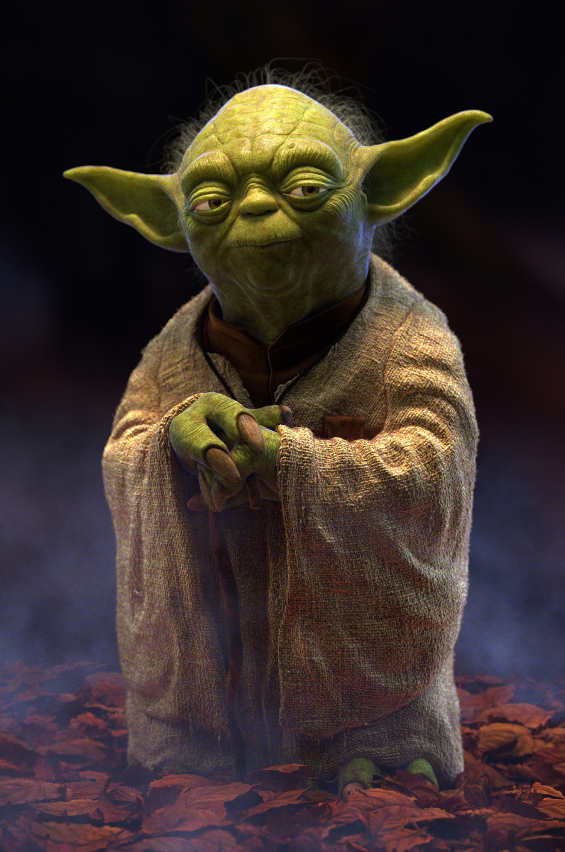 Master Yoda, Chris Meyers, Master Yoda, Jedi Master, 1920x2900 HD Handy