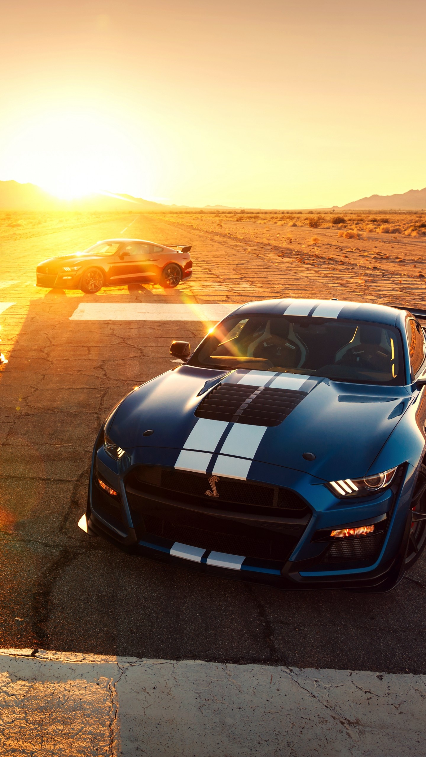 Wallpaper Ford Mustang Shelby GT500, 2020 Cars, 2019 Detroit Auto Show, 4K, Cars \u0026 Bikes #21061 1440x2560