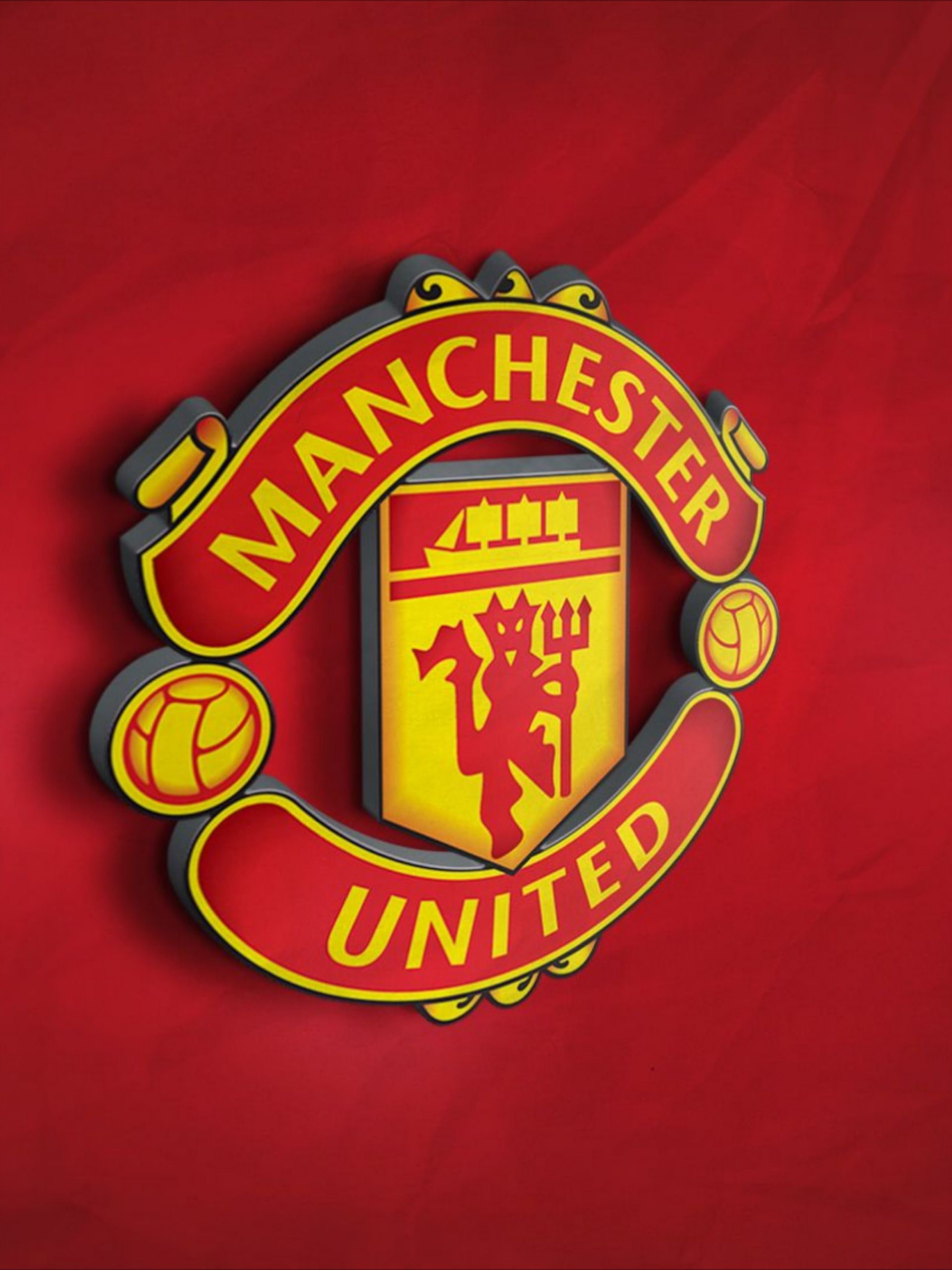 Manchester United 3D, Manchester United logo, Fans, Legends, 1920x2560 HD Phone