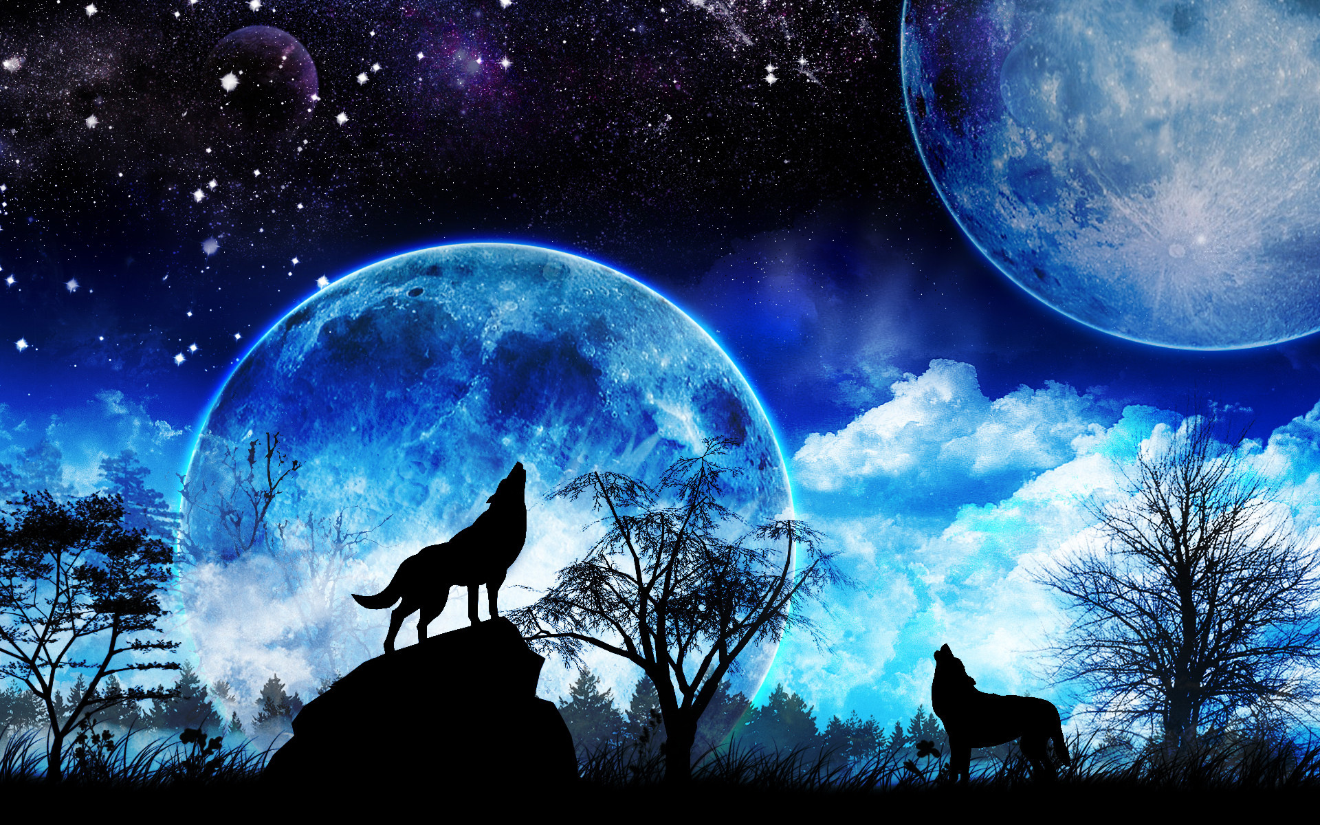 Howling wolf, Wolves in nature, Mysterious moonlight, Majestic creatures, 1920x1200 HD Desktop