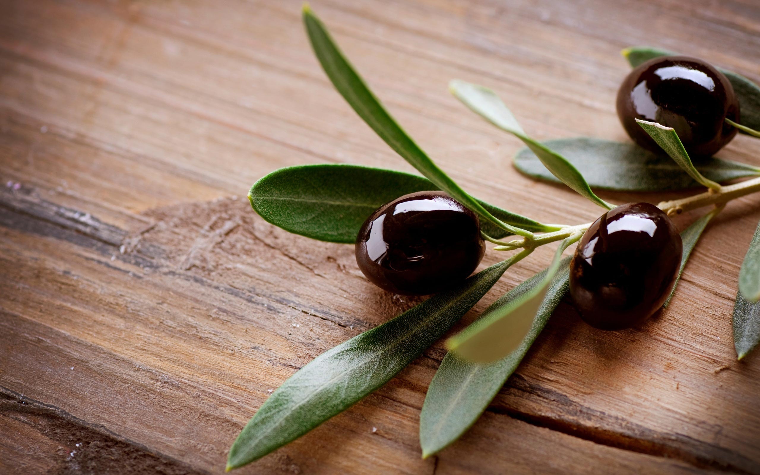 Olive: The plant originates from the coast of Mediterranean Sea and western Asia. 2560x1600 HD Background.