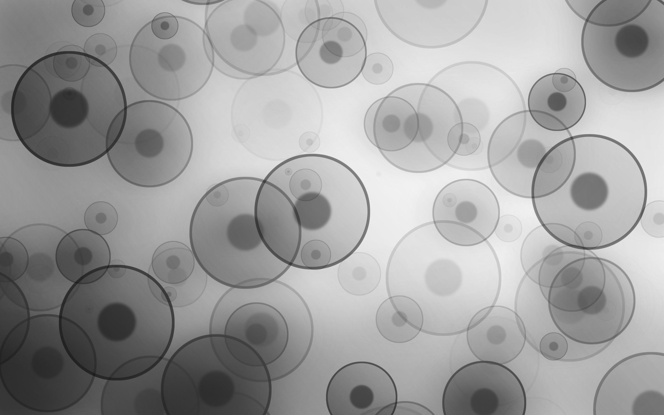 Gray Slate: Overlapping circles, Silvery, Abstract print. 2560x1600 HD Wallpaper.