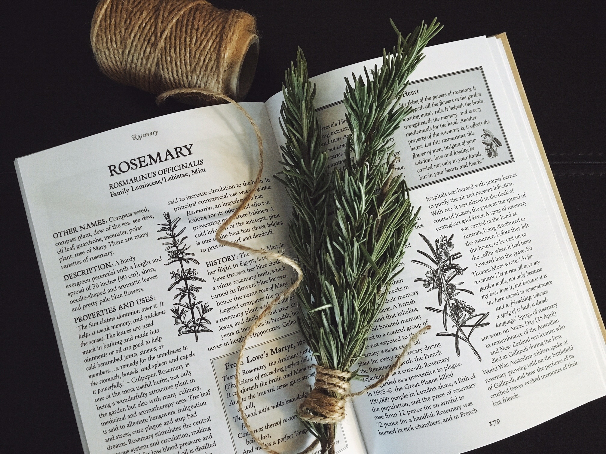 Herbs 101, Uses and benefits, The uses, Rosemary, 2020x1520 HD Desktop