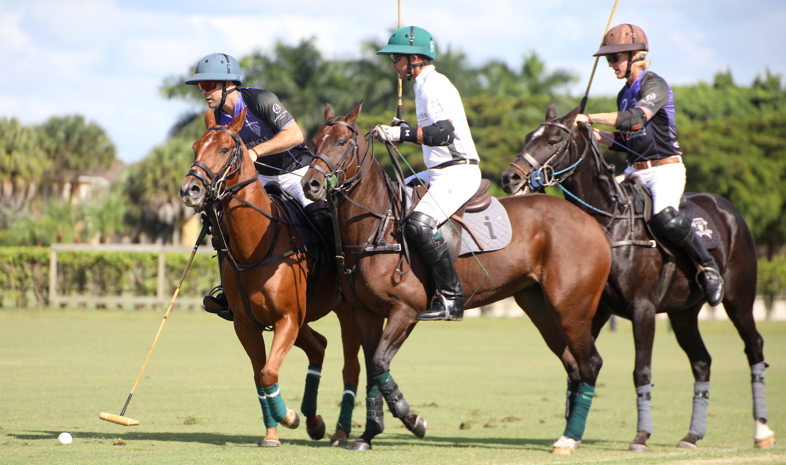 Horse Polo: Seminole Casino Coconut Creek vs. NetJets, Sunday's Fall Classic Season-Opener Final. 2500x1480 HD Wallpaper.