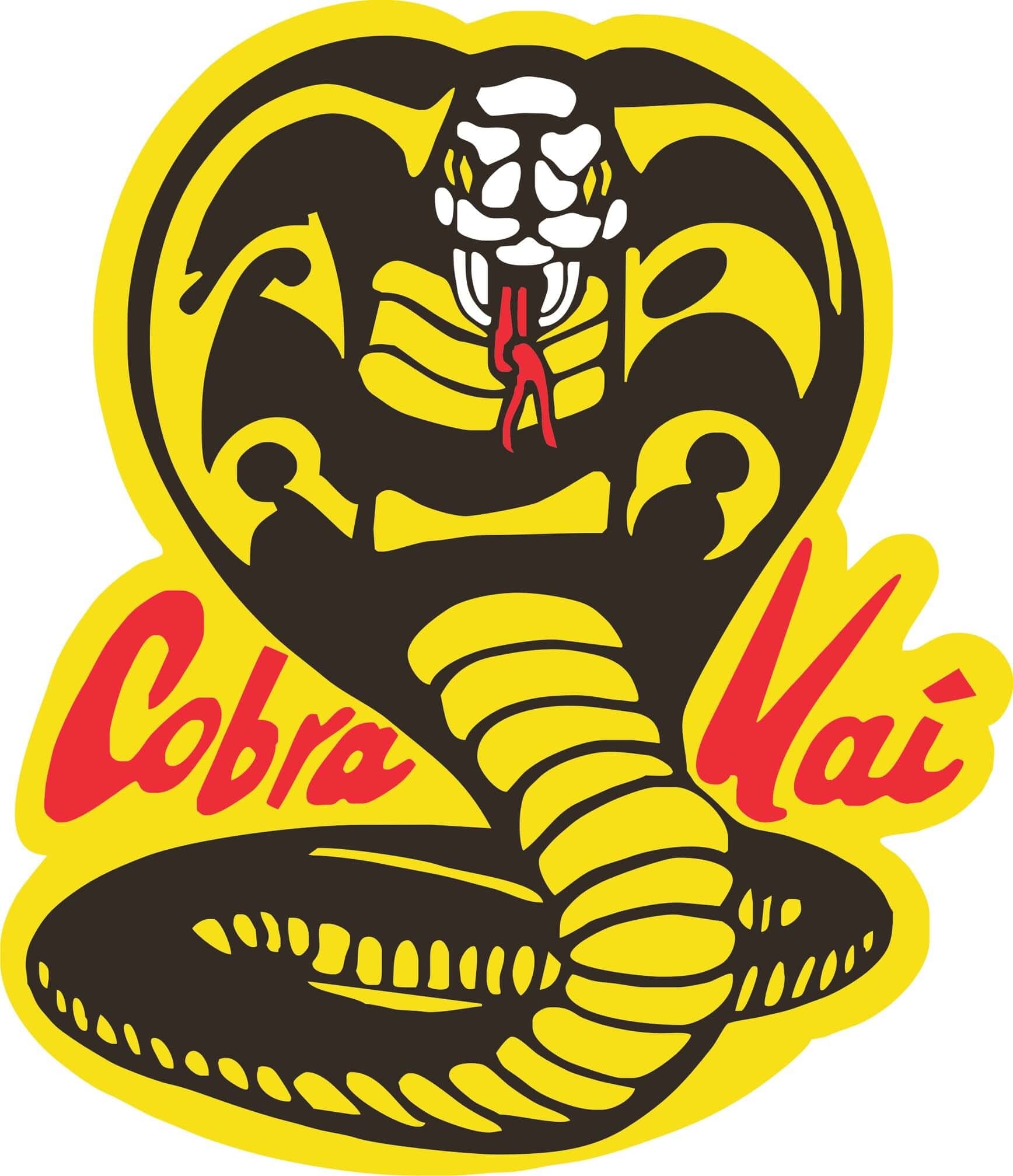 Cobra Kai (TV Series): Netflix acquired the series in June 2020, Martial arts. 1740x2020 HD Background.