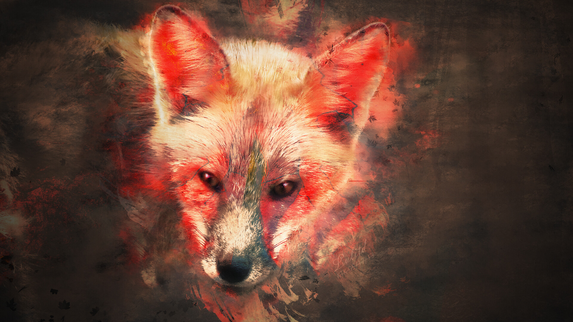 Fox: A symbol of intelligence, adaptability, cunning, gracefulness, and beauty. 1920x1080 Full HD Background.