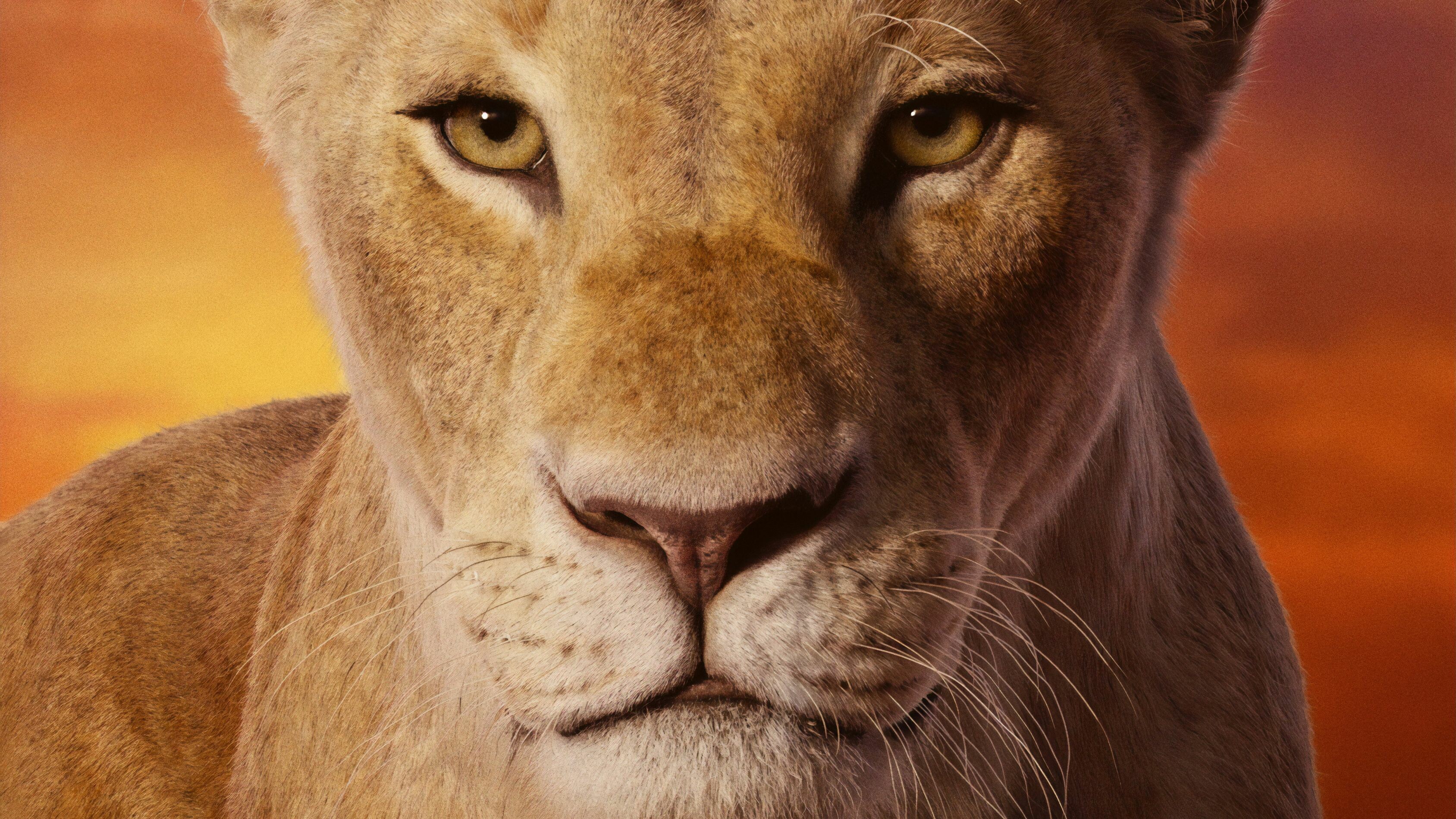 The Lion King: Nala, A female lion, Serves as the queen consort of Pride Rock through her marriage to Simba. 3380x1900 HD Background.