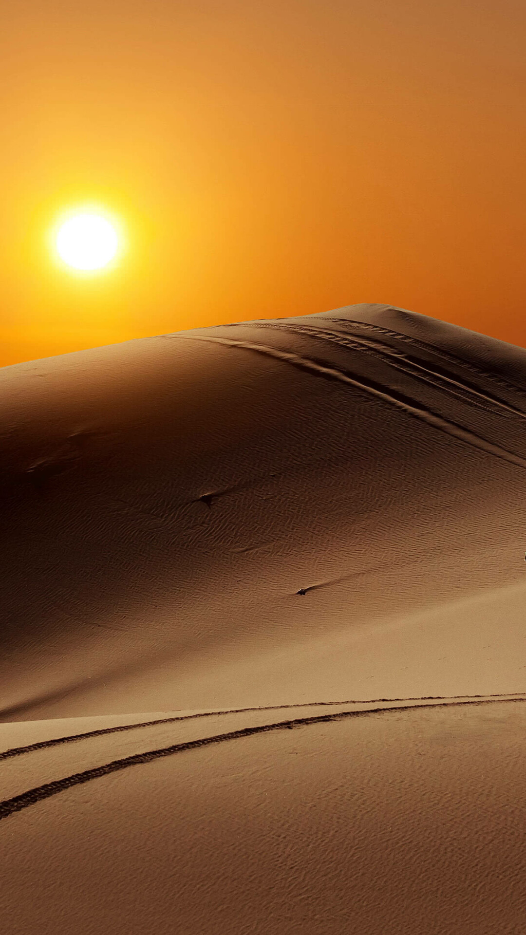 Desert: A large, dry, barren region, usually having sandy or rocky soil and little or no vegetation. 1080x1920 Full HD Wallpaper.