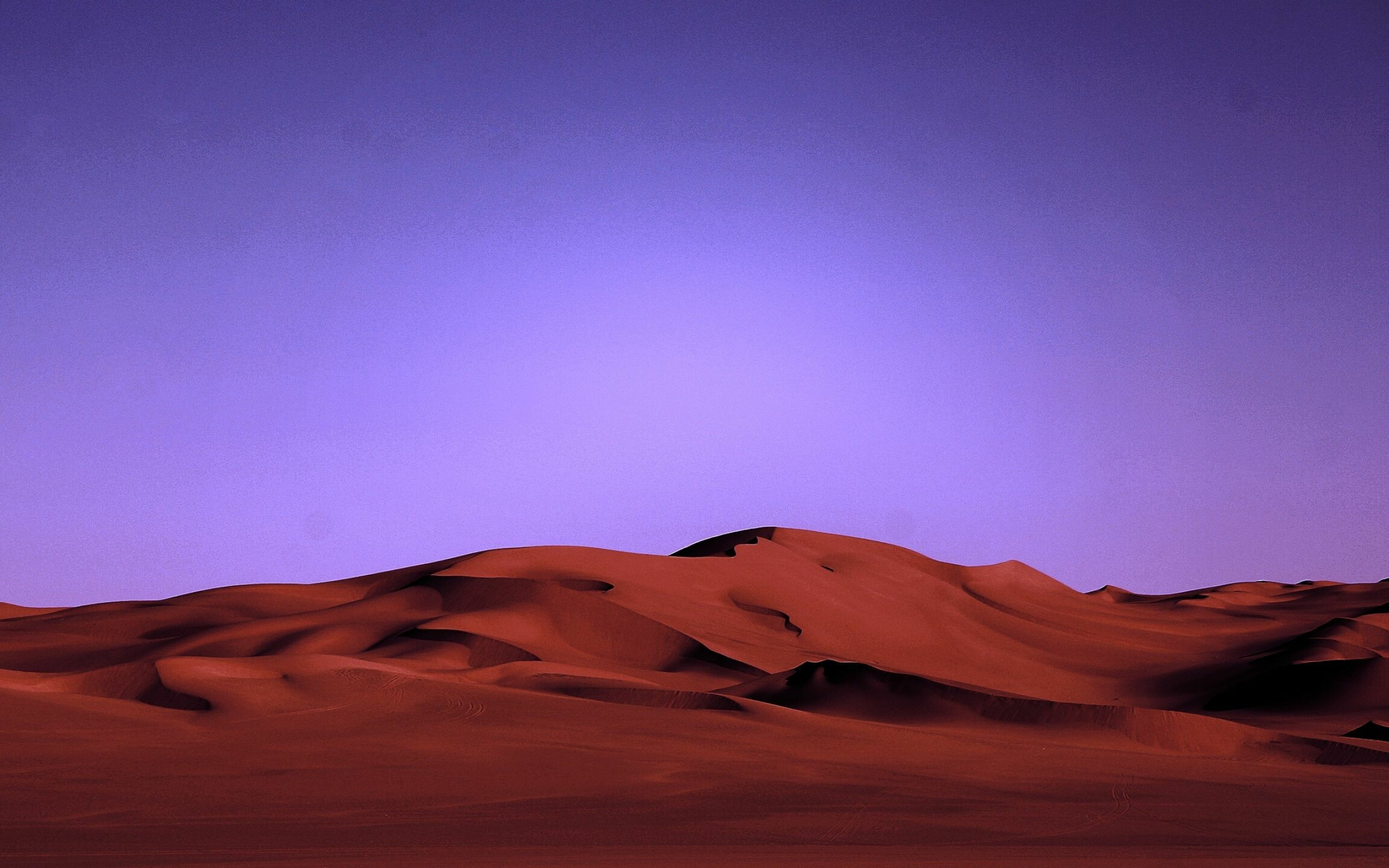 Desert: A region of land that is very dry because it receives low amounts of precipitation. 2560x1600 HD Wallpaper.