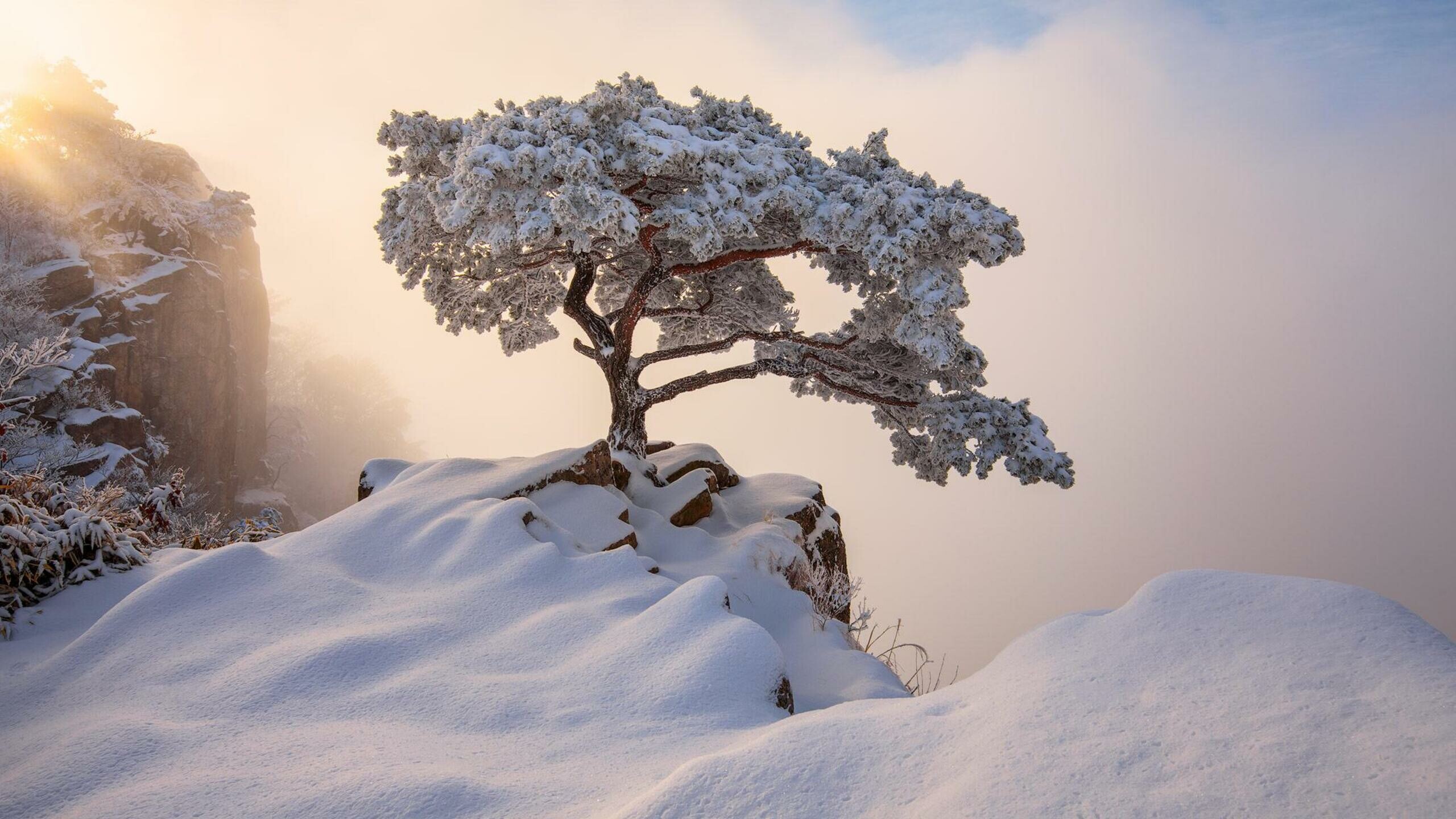 South Korea, Winter scenery, 4K resolution, Stunning images, 2560x1440 HD Desktop