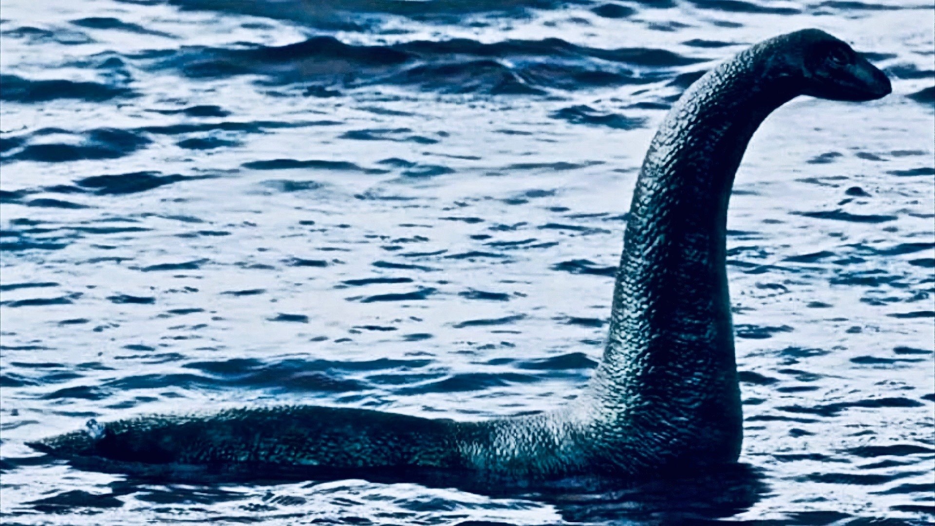 Beeindruckende Loch Ness Monster Tapete von Sarah Anderson, 1920x1080 Full HD Desktop