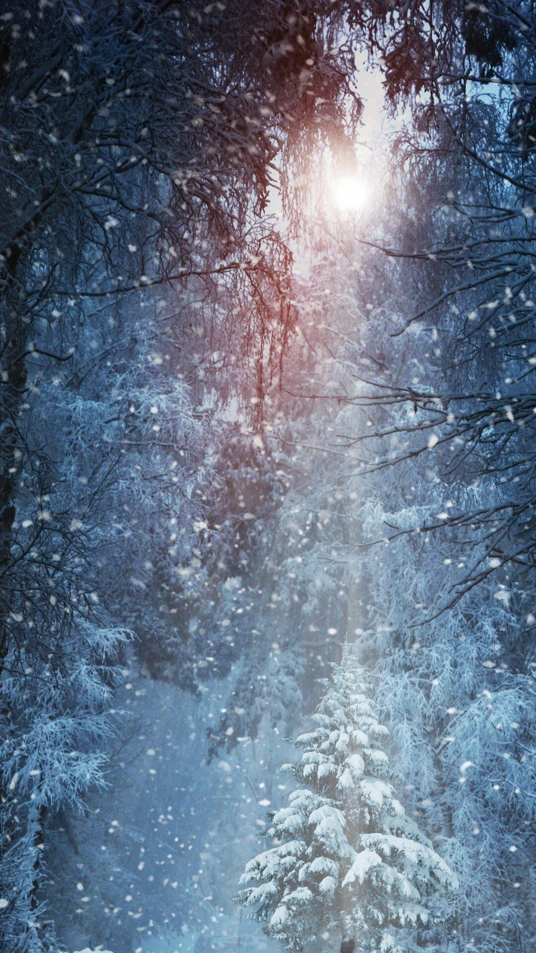 Snowfall: Winter, Forms when the temperature is at or below freezing and there is a minimum amount of moisture in the air. 1080x1920 Full HD Wallpaper.