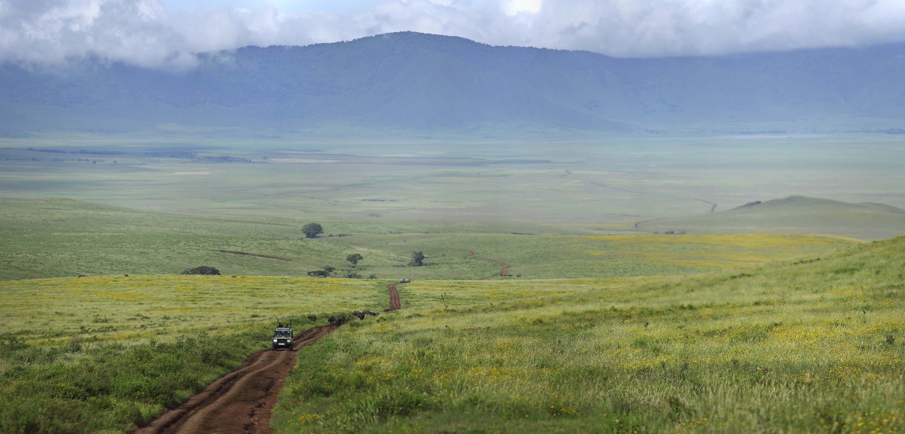 Tanzania, Ngorongoro Crater Highlands, 2940x1410 Dual Screen Desktop