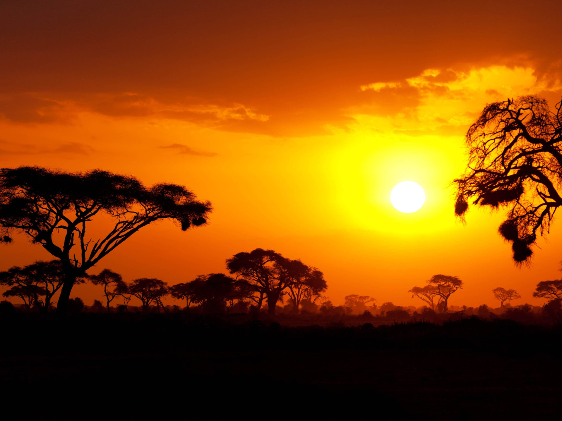 African sunset, Kenya and Tanzania, Red sky, Silhouetted trees, 1920x1440 HD Desktop
