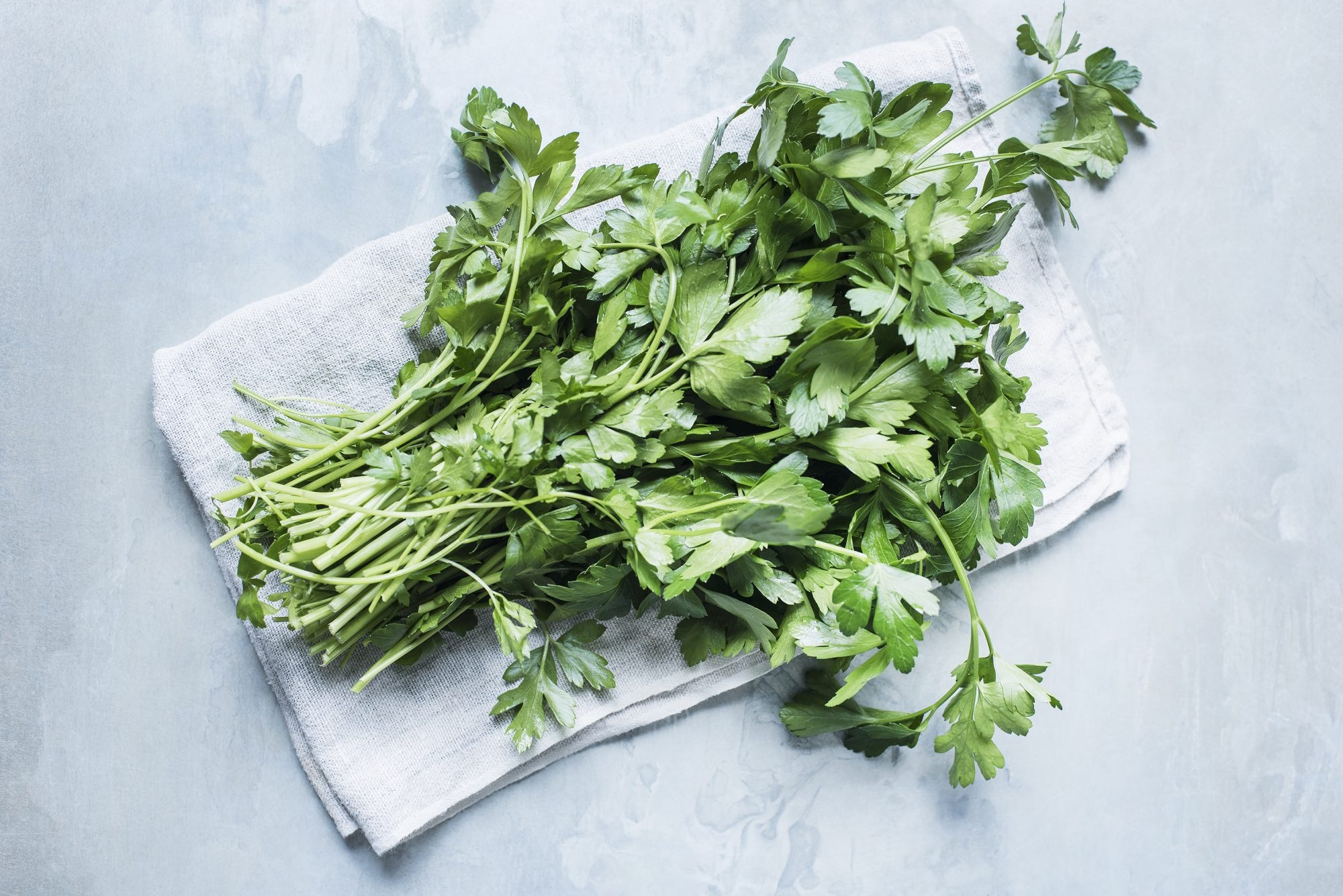 Cilantro substitutes, Alternative herbs, Culinary preferences, Ingredient replacement, 2000x1340 HD Desktop