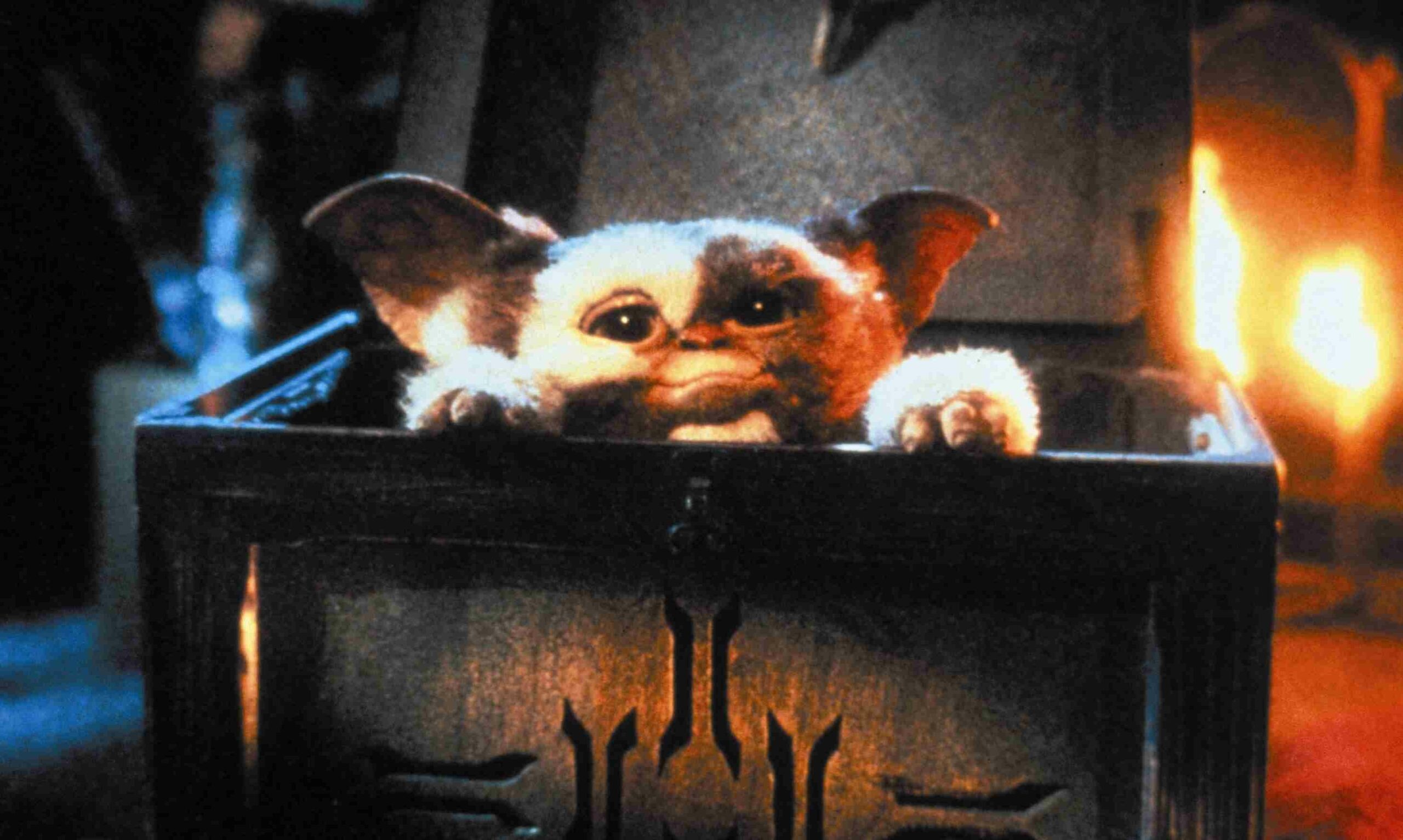 Gremlin: Gremlins, A 1984 American black comedy horror film directed by Joe Dante and written by Chris Columbus. 2560x1540 HD Background.