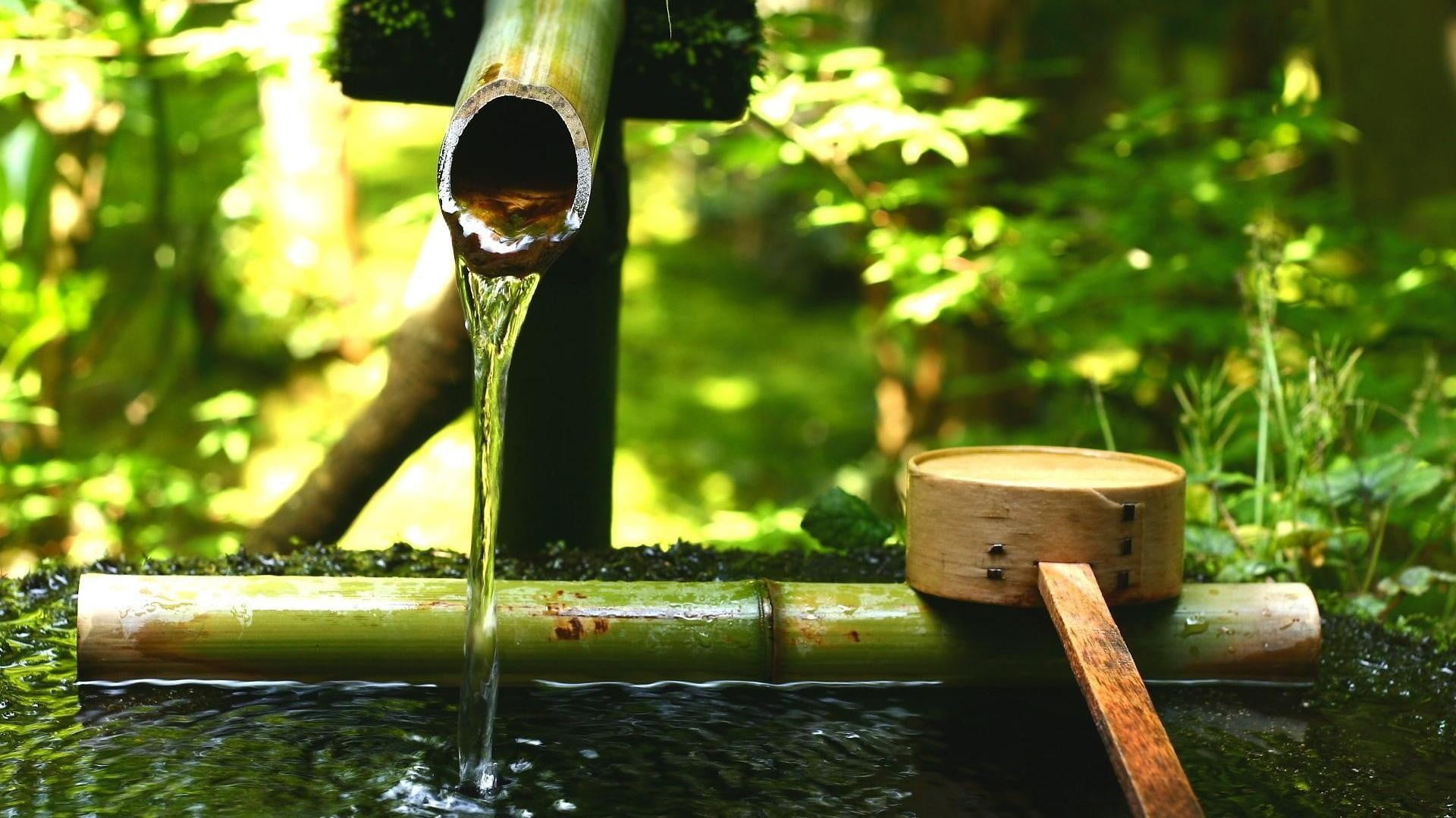 Bamboo: Brown water fountain, Nature, Plant with strength-to-weight ratio is similar to timber. 1920x1080 Full HD Wallpaper.