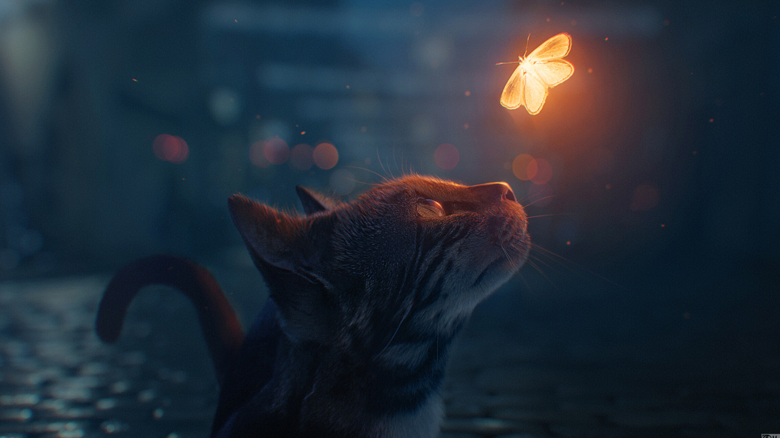 Cat, Butterfly encounter, Digital art wonder, Mesmerizing resolution, 2560x1440 HD Desktop